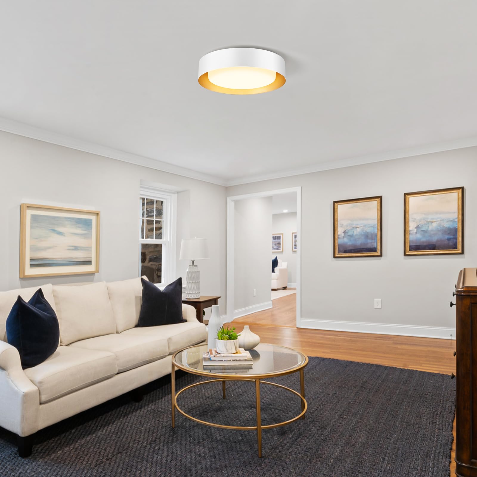 Goomavi Modern Flush Mount Ceiling Lights,Minimalist 16.5In Round Close To Ceiling Light Fixtures,White And Gold Metal Ceiling L