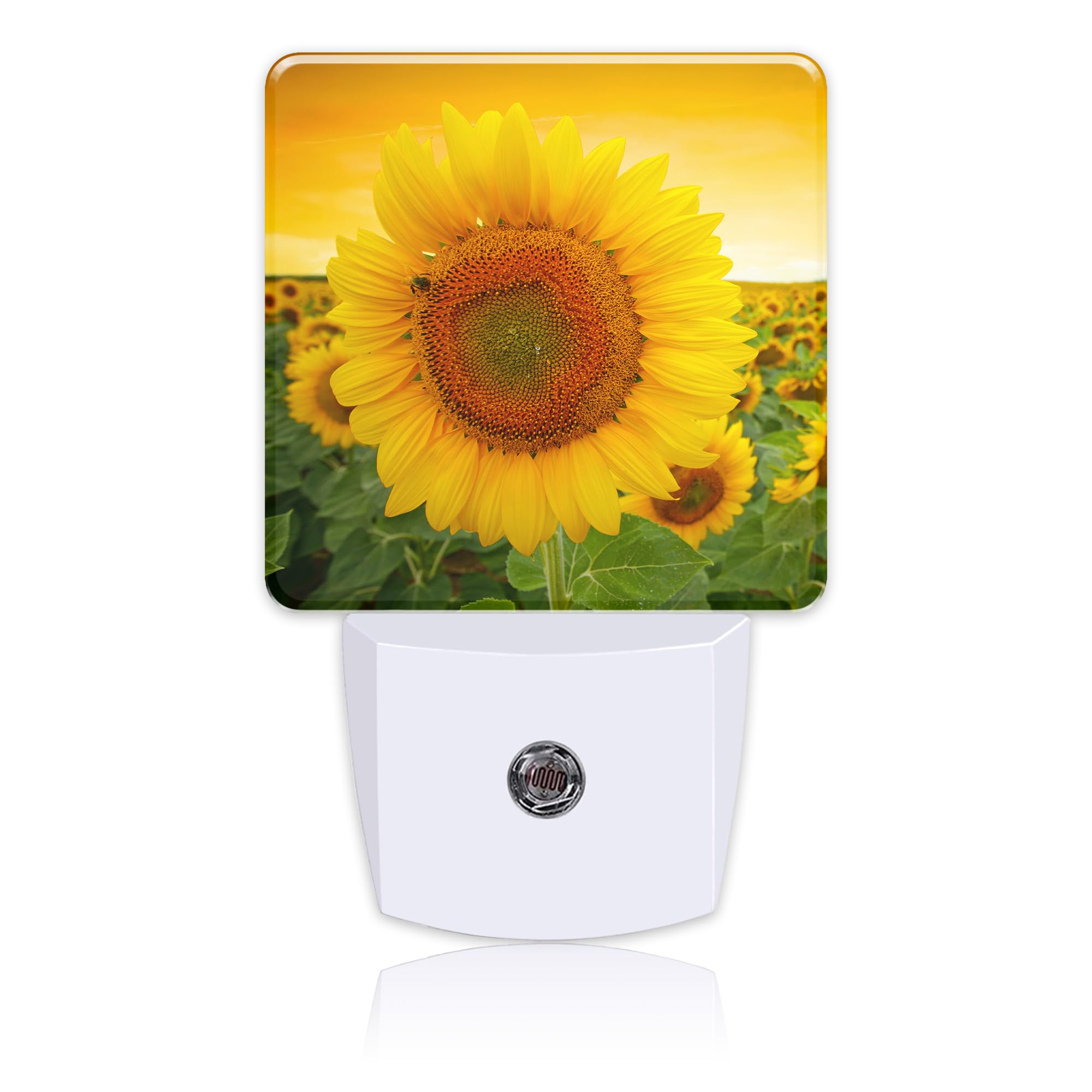 Uiaoiais Plug in Night Lights Sunset Sunflower Field Nightlight Plug Into Wall Dusk to Dawn Sensor LED Night Light for Kid Girls