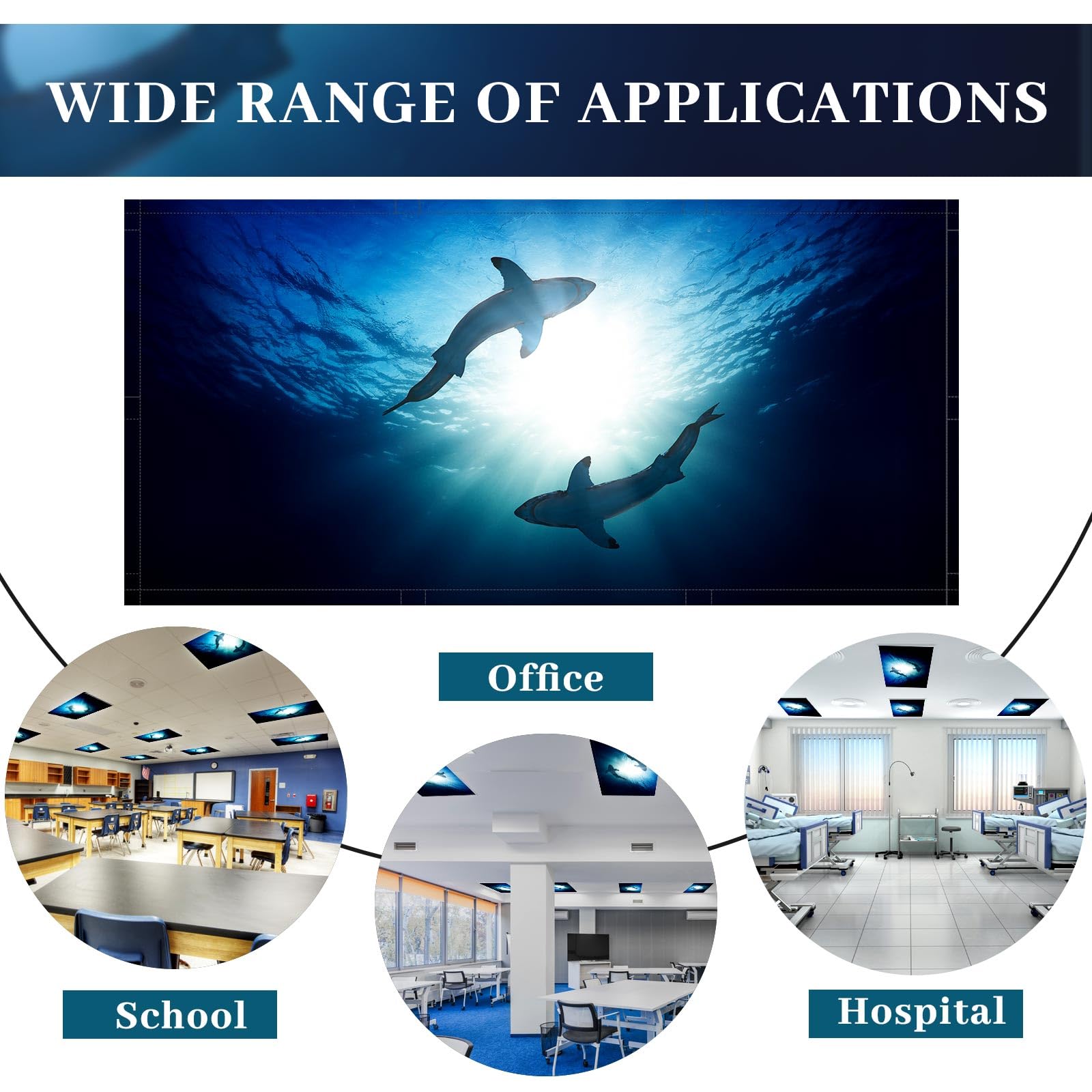 Patelai Fluorescent Light Cover, 4x2 Feet, Blue Fabric Shade with 10 Magnets, Model PT-Patelai-44508 for Classroom and Office