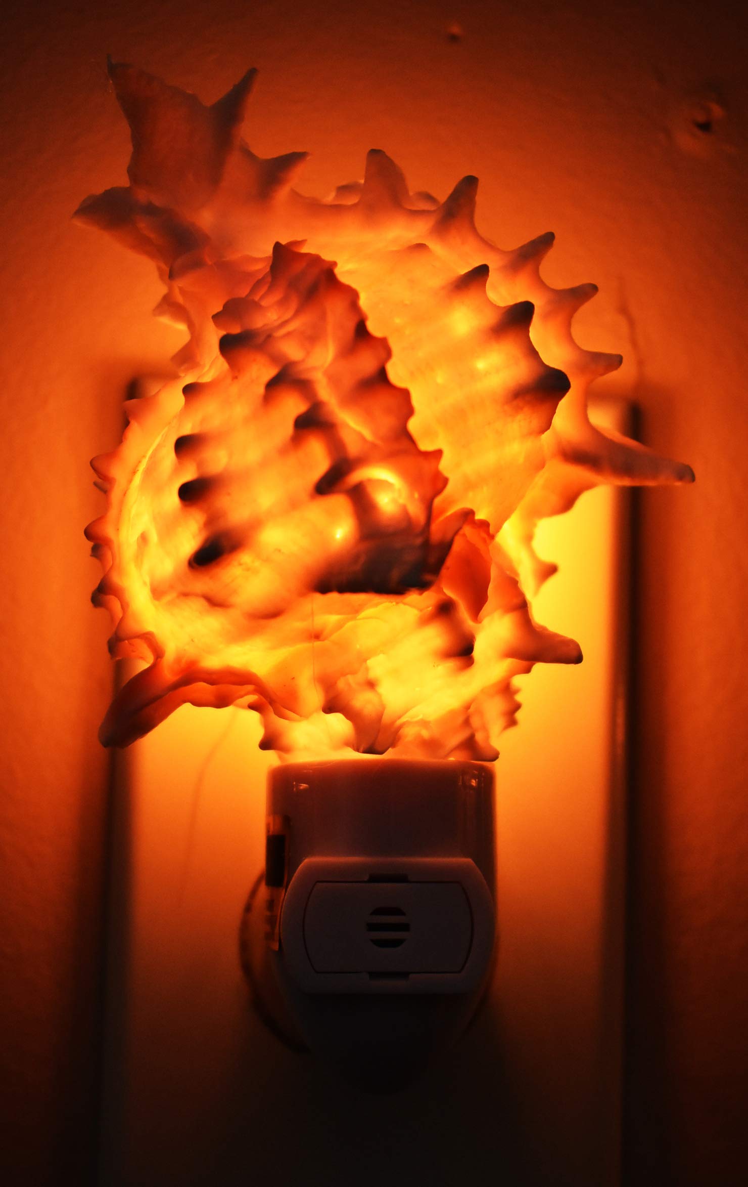 AosBet Seashell Night Light - Real Pink Murex Shell, On/Off Switch, 4-5", White/Pink Coastal Decor