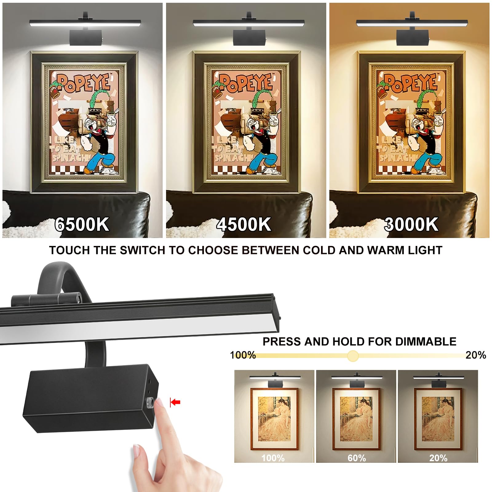 RAIFOOLLY Picture Light for Wall, Battery Operated, Remote Dimmable, 3 Modes, Iron, L-16in, Black, Model RF00181