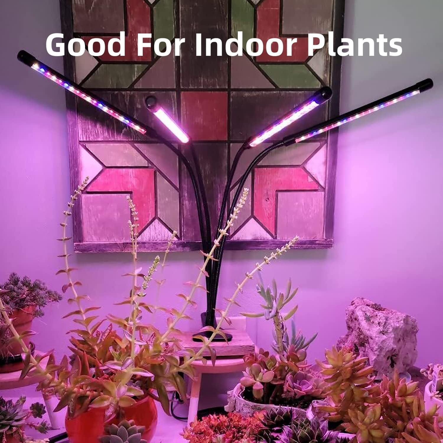 LEOTER Grow Light for Indoor Plants - 80 LED Full Spectrum, 3/9/12H Timer, 10 Dimmable Levels, Adjustable Gooseneck, Black