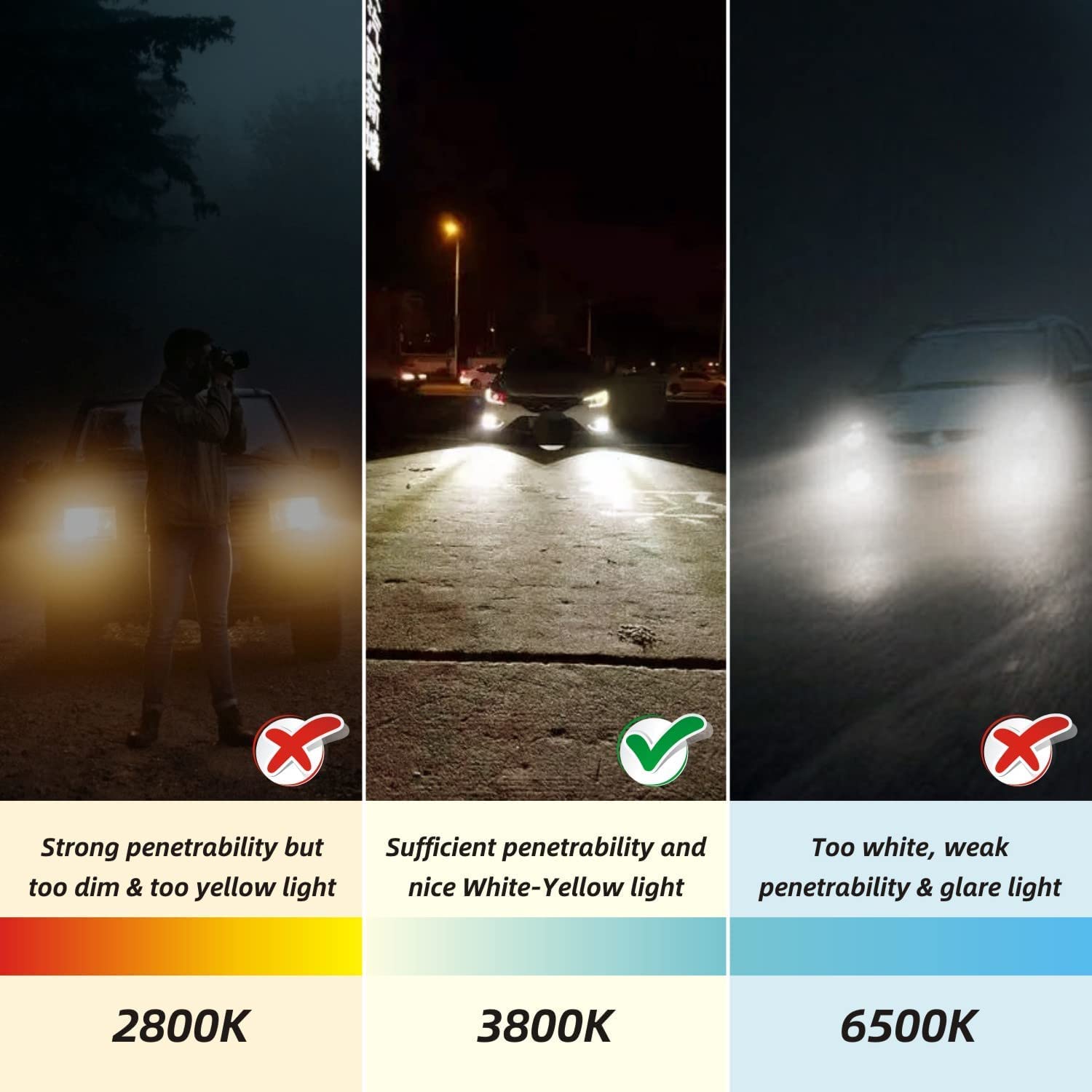 Sinoparcel H1 Halogen Fog Light Bulb, 150% Brighter than 55W, Pack of 2, 3800K Color