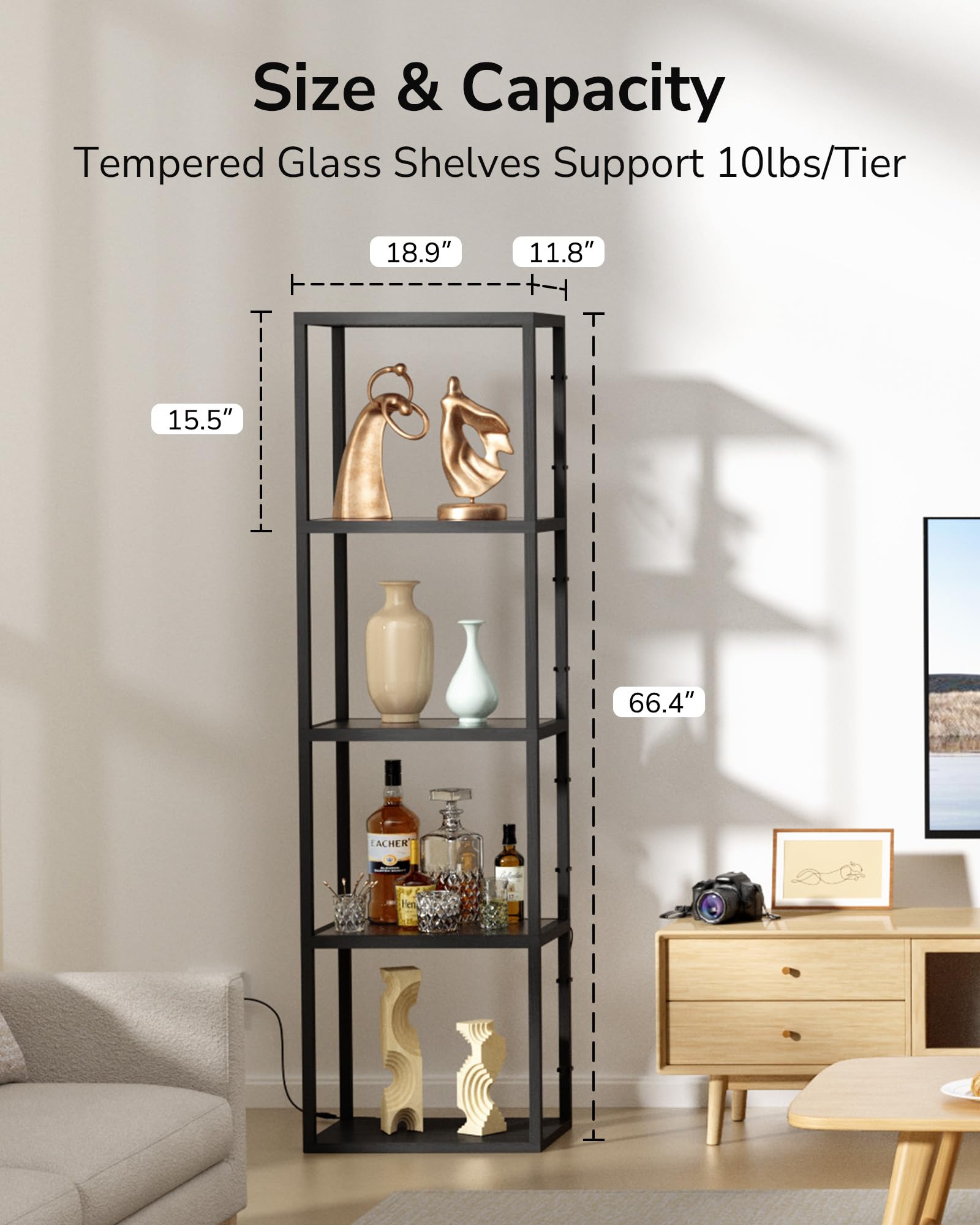 JACKYLED Corner Display Shelf with Lights, 5-Tier 66 Tall Corner Storage for Books Perfume Shelf, Dimmable LED Glass Display She