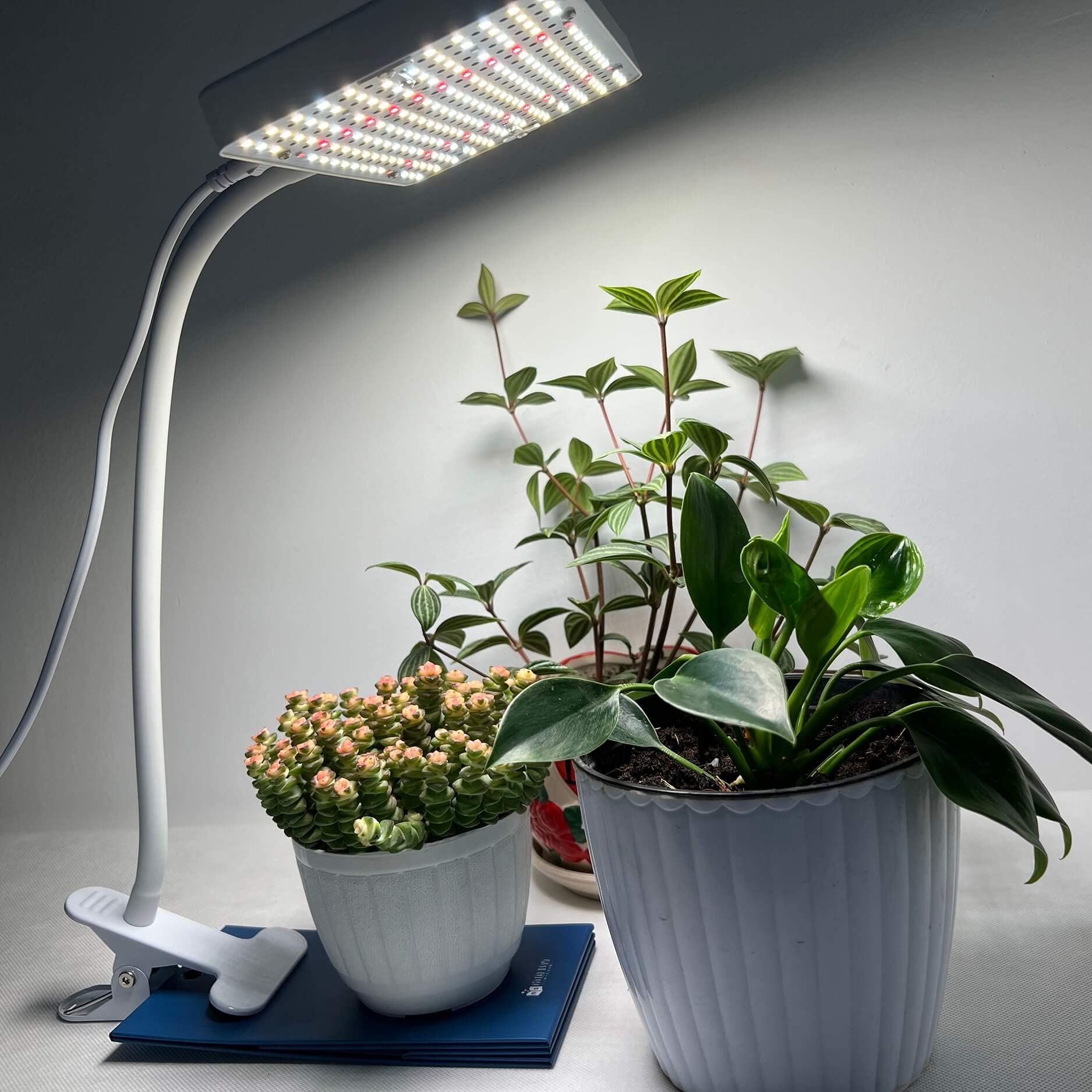 Jinhongto Clip Grow Light Led Full Spectrum Uv Ir, 25 Watt Veg Seed Starting Seedlings Bonsai Houseplant Plant Light, 2000 Lumen