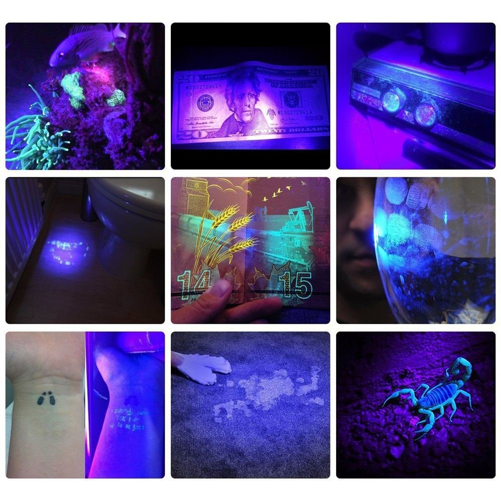 ALONEFIRE SV13 15W UV Flashlight Rechargeable Black Light for Pet Urine, Bed Bug, Scorpion Detection, Includes Glasses, Battery, Charger