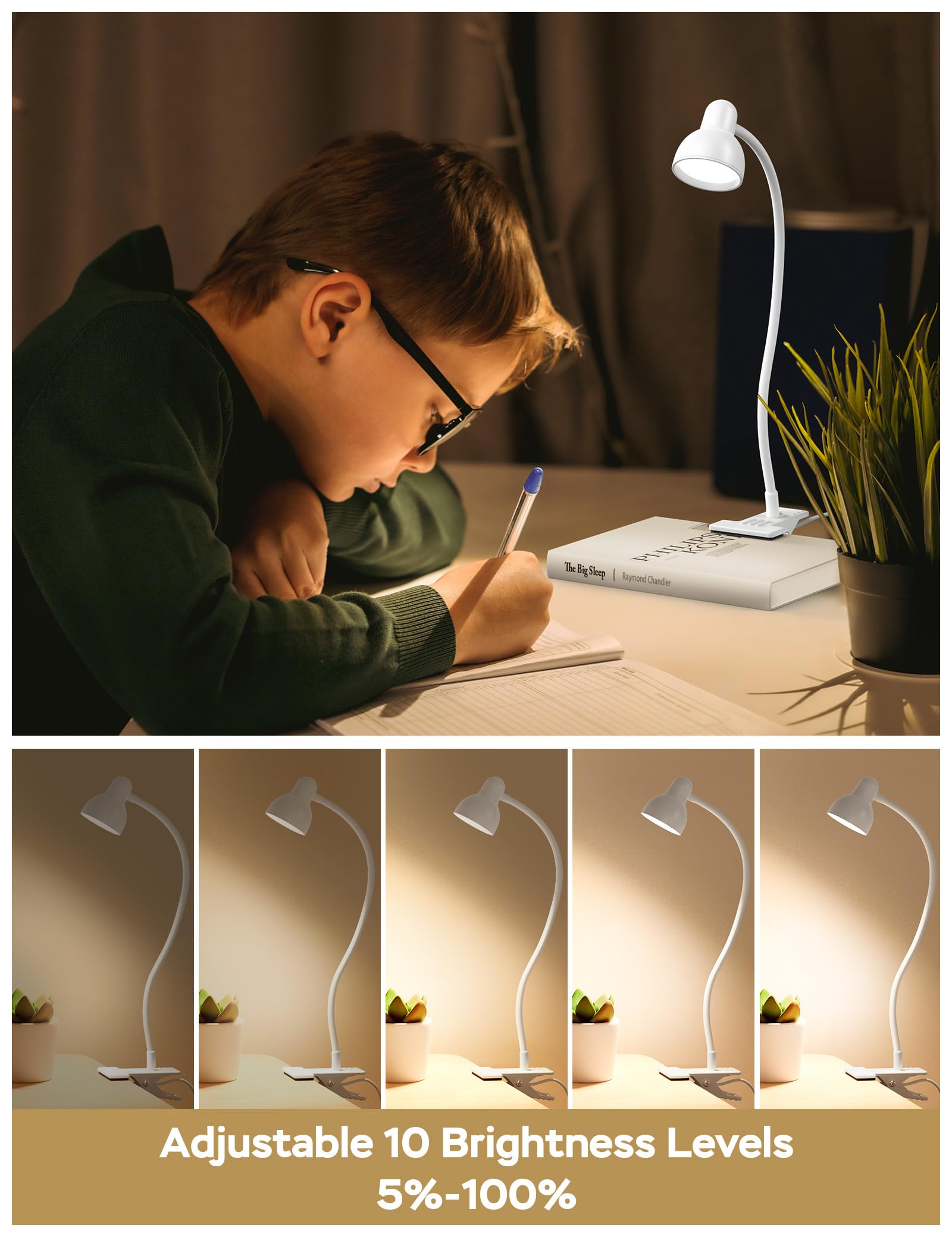 LiFMIRA Clip-on LED Desk Lamp, 3 Color Modes, 10 Brightness Levels, 360° Gooseneck, USB, Eye Protection, White, 4W