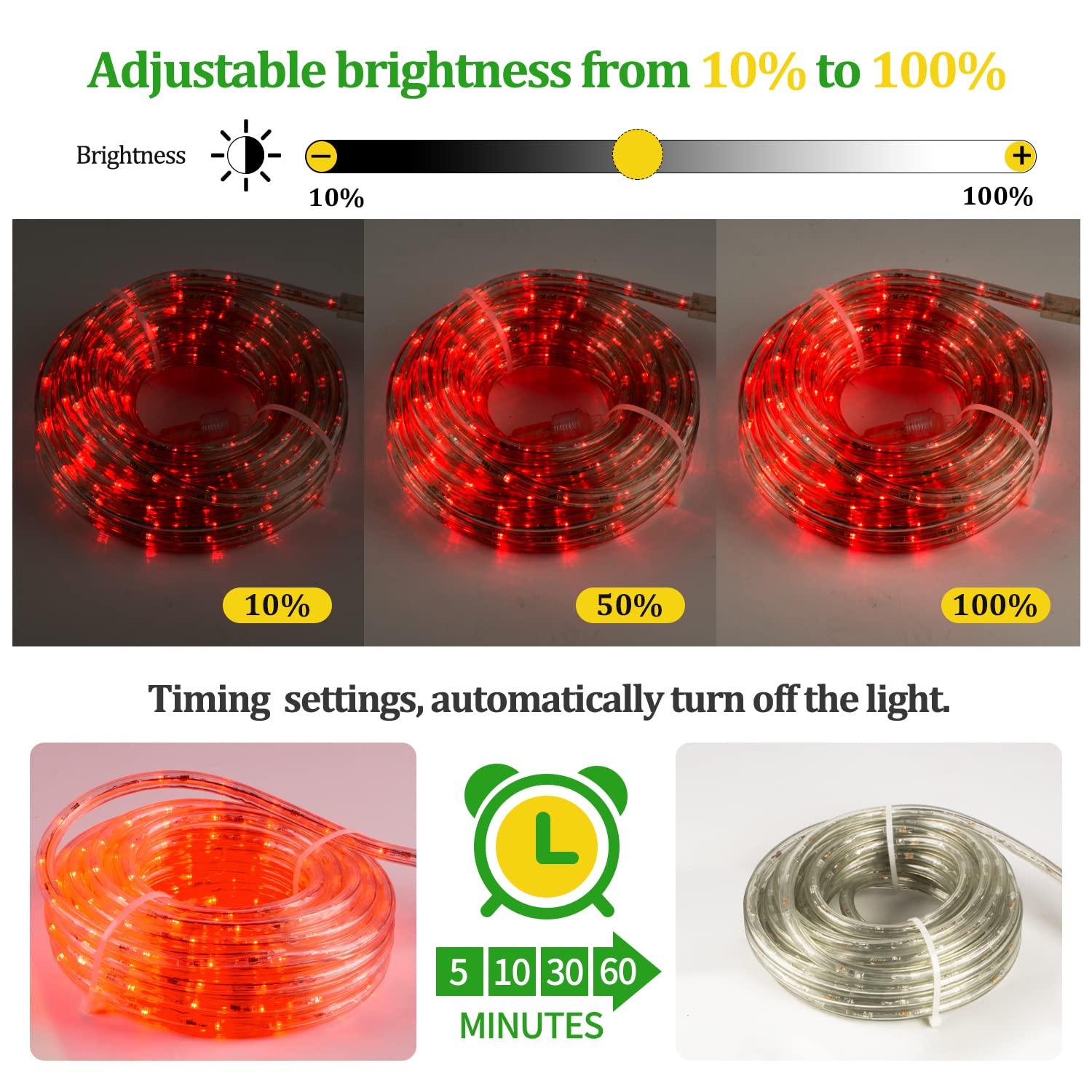 beatineon 33FT LED Rope Lights Outdoor, 300 LEDs, Waterproof, Flexible Tube, Remote, 8 Modes, Red