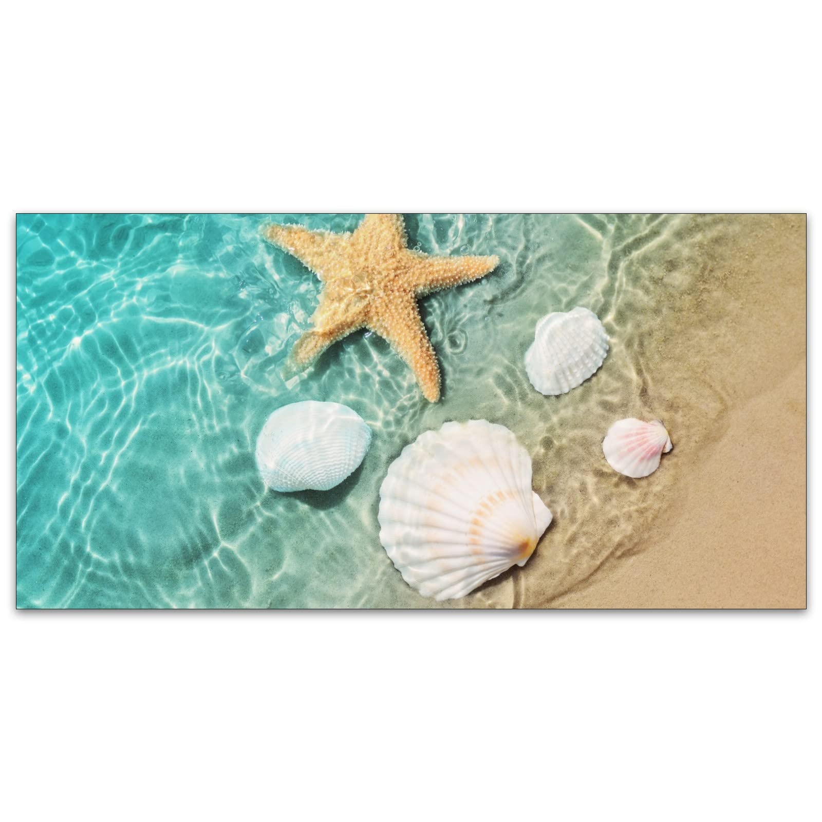 Msinmkok 2Ft X 4Ft Fluorescent Light Covers Sea Water Beach Starfish Shell Conch Light Filters-Easy Setup For Office,Hospitals,H