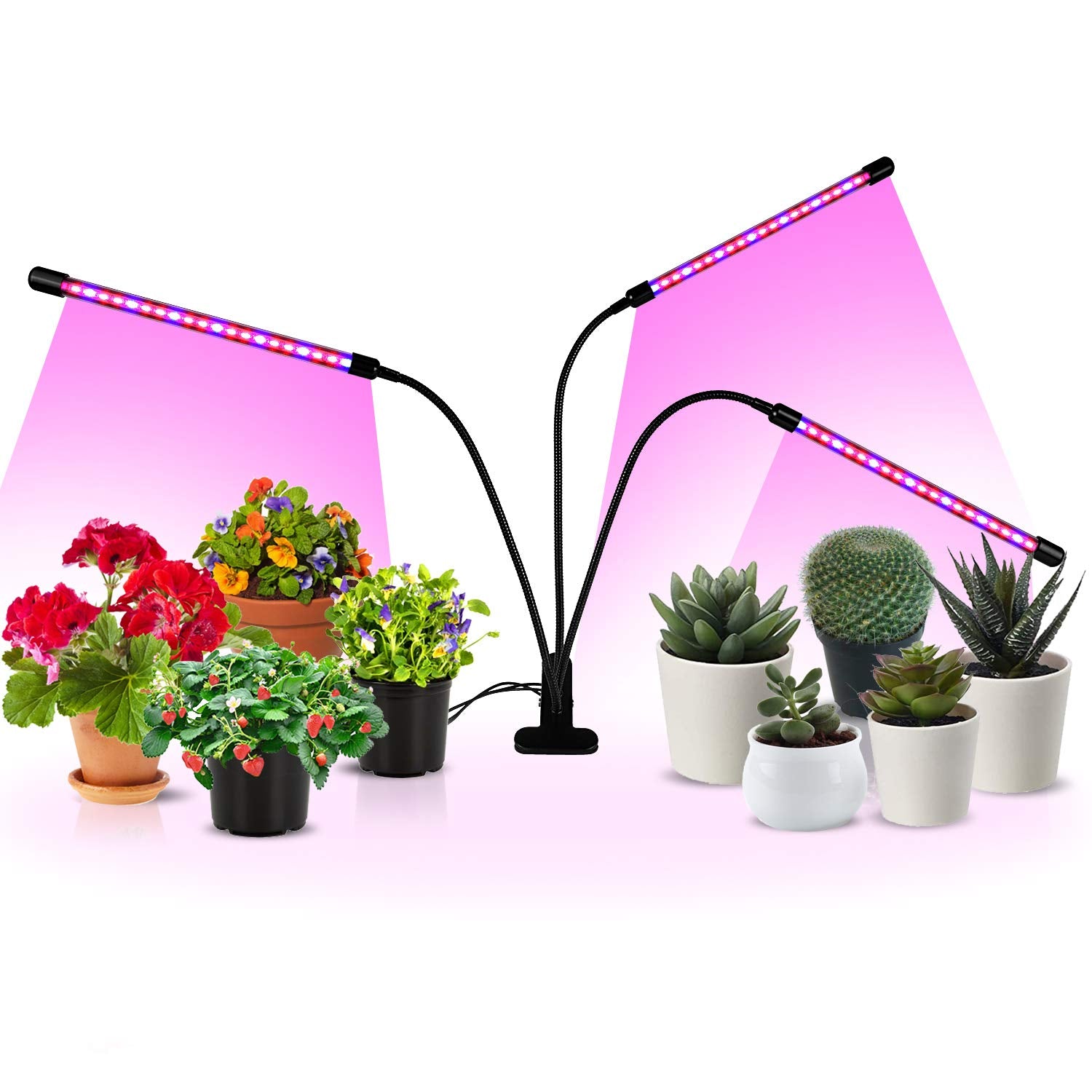 iPower 15W Triple Head LED Grow Light, Adjustable Gooseneck, 11 Dimmable Levels, Auto ON/OFF, Black, 1 Pack