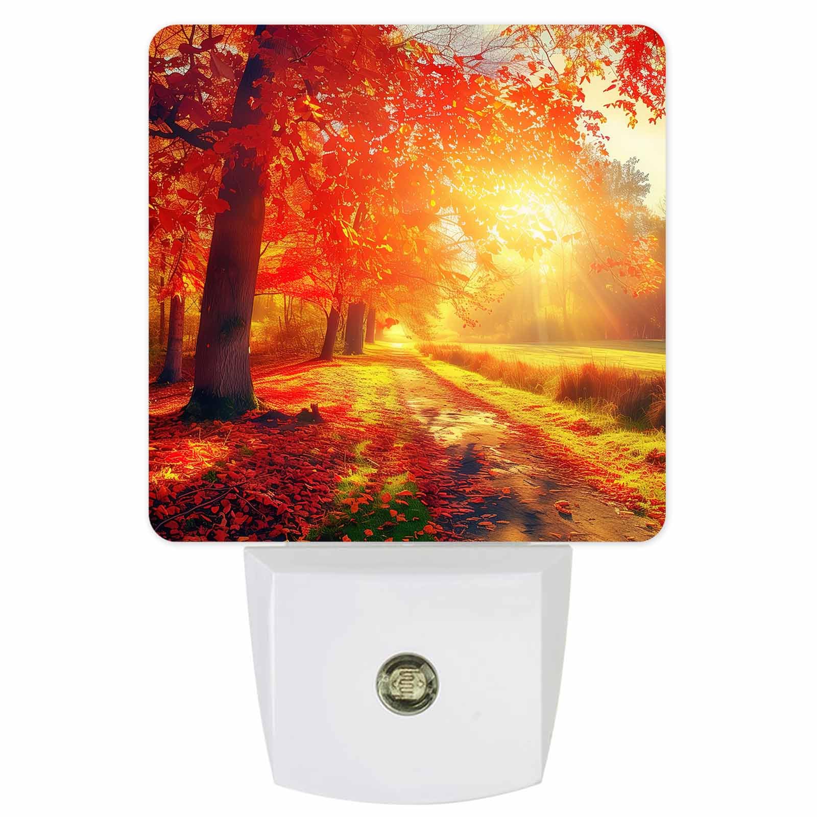 Fall Night Lights Auto Sensor Autumn Maple Leaves Plug-in LED Nightlight Dusk to Dawn for Living Room, Bedroom, Bathroom, Kitche
