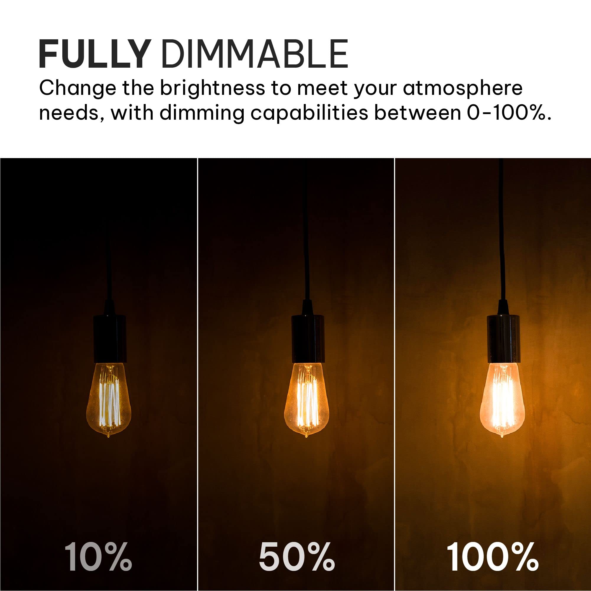 HUDSON BULB CO. Vintage LED Edison Light Bulbs, 60W Dimmable, 6 Pack, E26/E27 Base, 2700k Soft White, ST58 Style