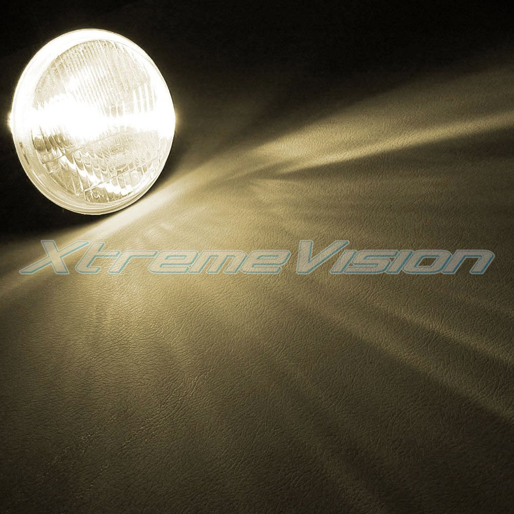 Xtremevision Bi-Xenon HID Replacement Bulbs - 9004 4300K Bright White (1 Pair)