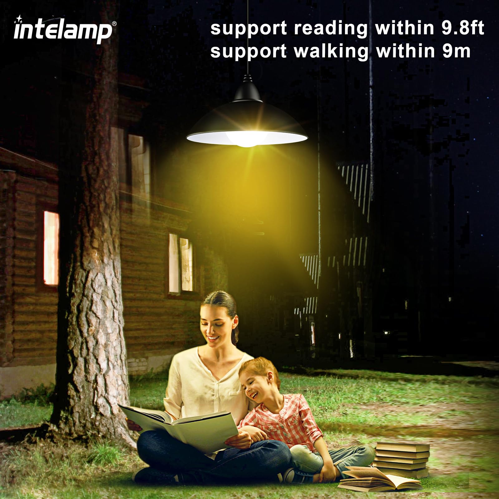 intelamp Solar Pendant Lights, 2 Packs, 4000mAh, Indoor/Outdoor Chandelier, Warm White, Black, Model 150