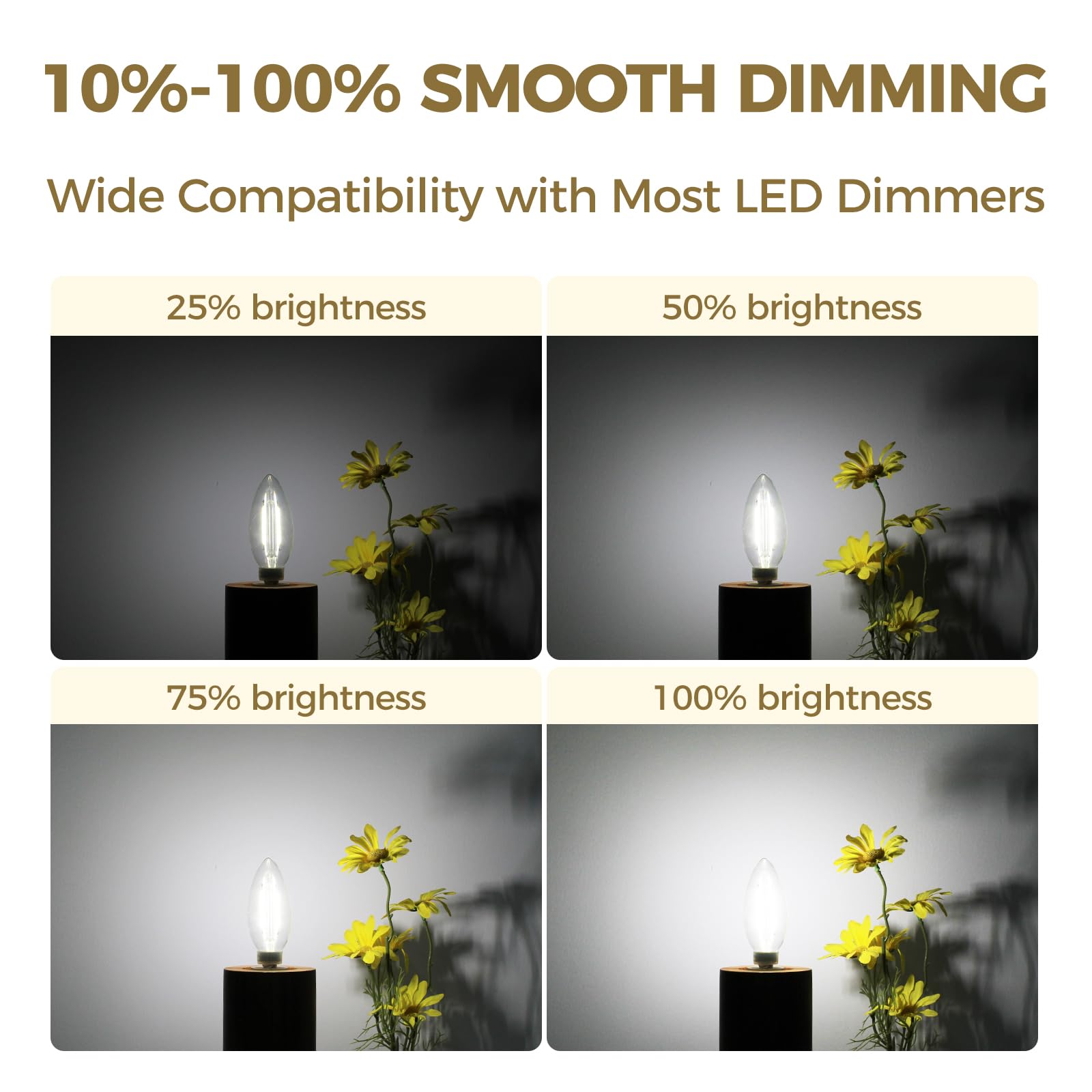 Hizashi E12 Led Bulb Dimmable 60 Watt Equivalent, Chandelier Light Bulbs 5000K Daylight, Candelabra Light Bulbs, B11 Led Candle