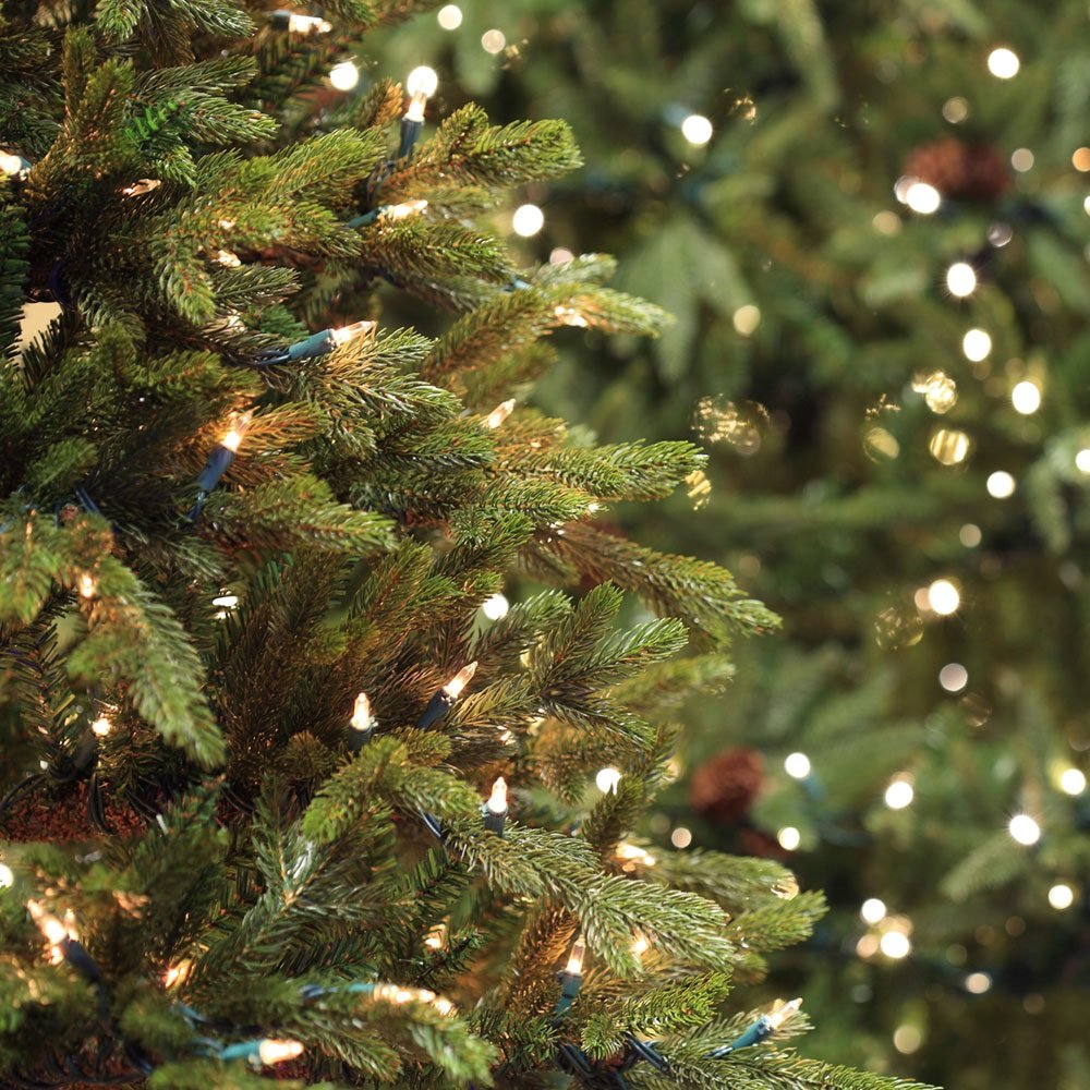 Holiday Essence, Set of 140 Indoor Clear Musical Christmas Lights, Plays 25 Classical Holiday Songs, 8 Function Chaser, Green Wi