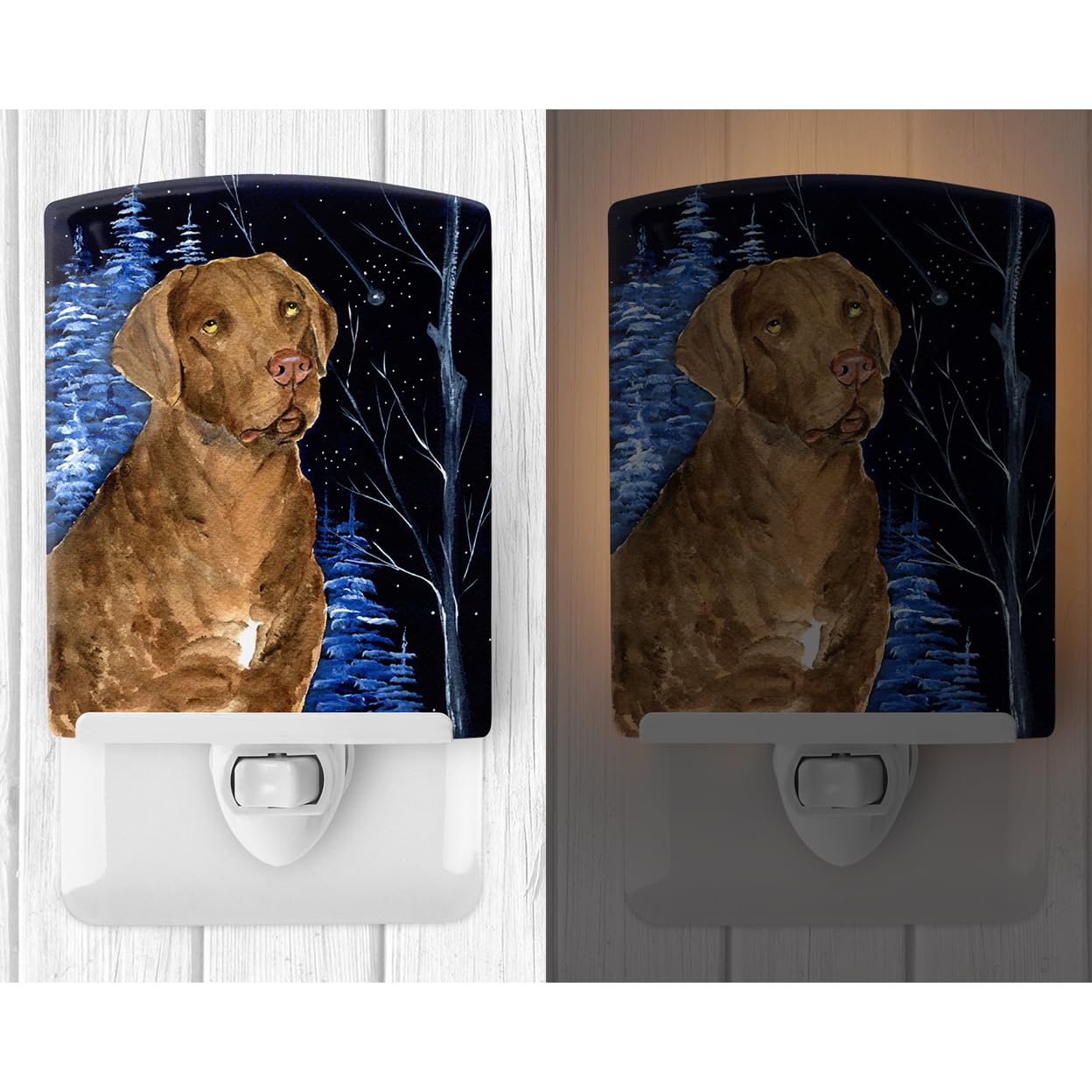 Carolines Treasures Ceramic Night Light, UL-Certified, 6x4x3in, Starry Night Chesapeake Bay Retriever, Multicolor, Model SS8384CNL