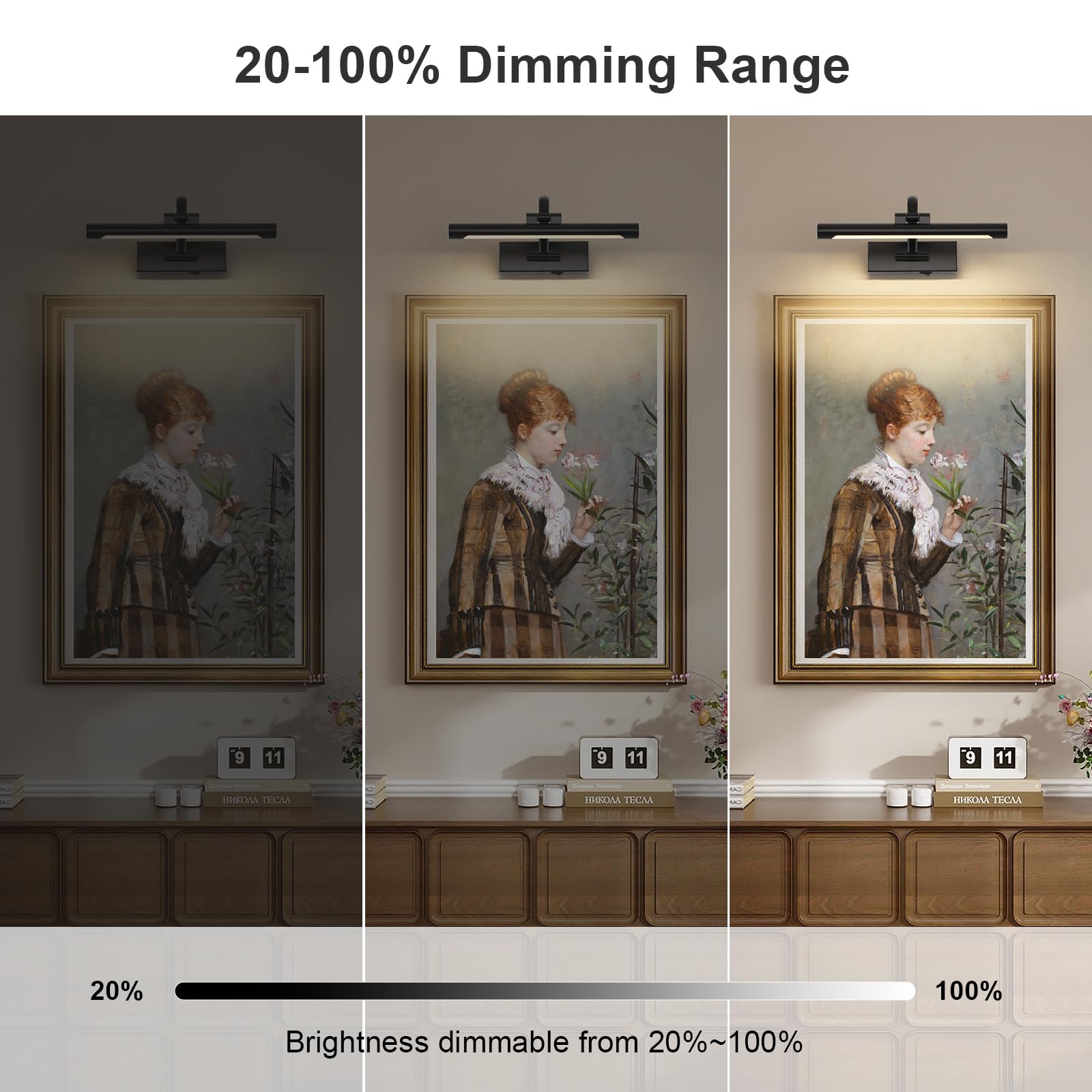 Desoop Battery Operated Picture Lights For Wall Black Art Light Wireless Gallery Lights With Timer And Remote 12 Inch 2W Warm Wh