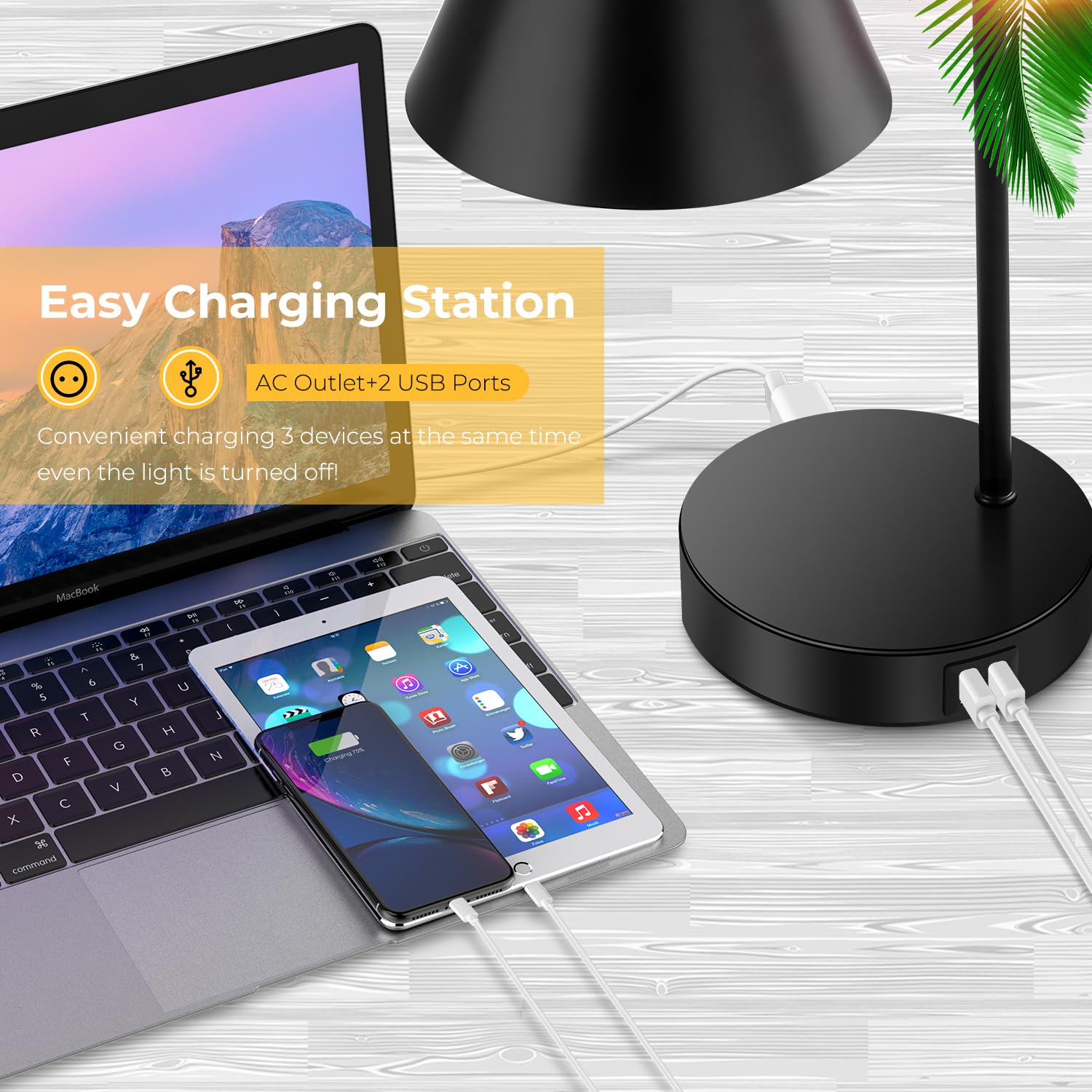 Brightever Industrial Desk Lamp, Dimmable, 2 USB Ports, Touch Control, Black Metal, Model T0324-BK-27, Flexible Head, Bulb Included