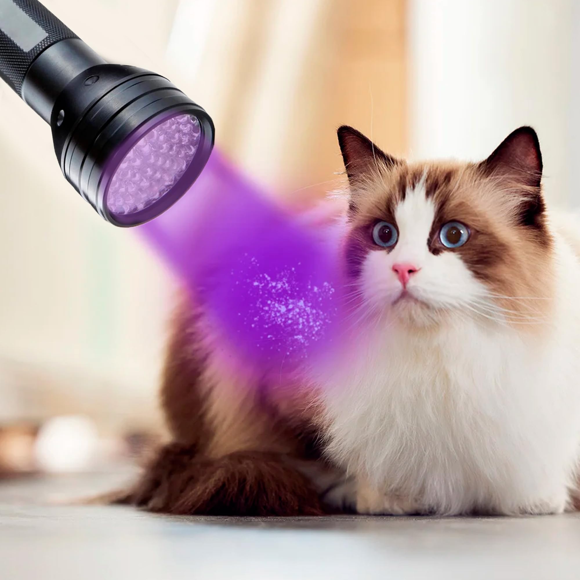 HQRP 390 nM 51 LED Flashlight Blacklight for Hotel Room Inspection, Saliva Sperm Identification, Pet Urine Detection, Scorpion H