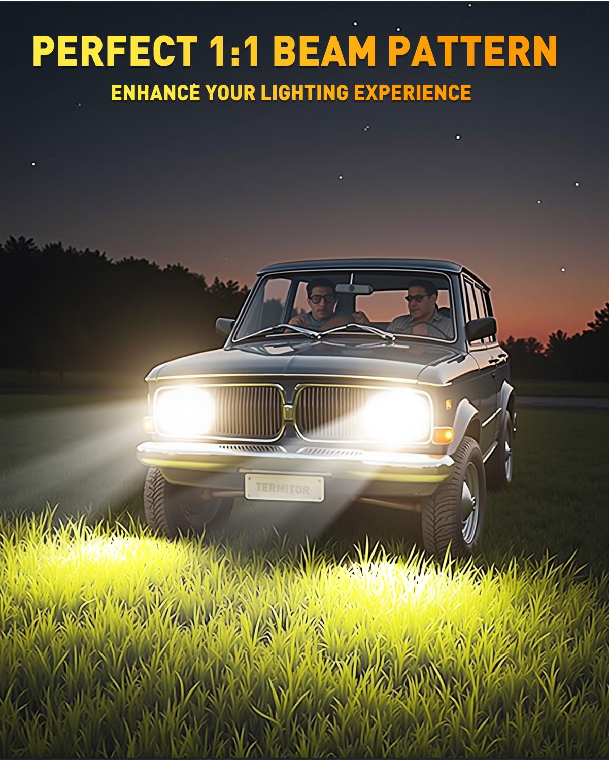 Termitor D2S LED Bulbs - 36,000LM 6500K Cool White, Plug and Play Xenon HID Replacement, Pack of 2