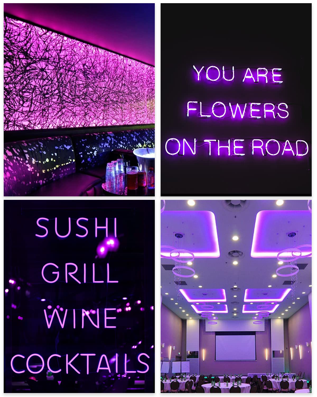 Alitove Neon Led Rope Light 16.4Ft, Purple Silicone, Dimmable, Diy Accessories, Waterproof, Model: 5M-Neon-Pu-Kit