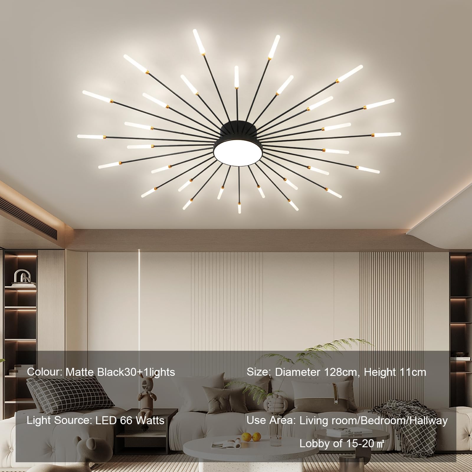 JAYMP Modern Flower Ceiling Light Fixture, 30+1 Lights, Matte Black, Acrylic, Model GB6528, Flush Mount for Living Room/Dining Room