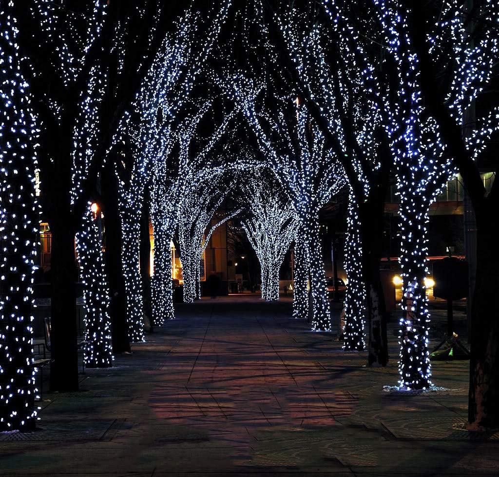 Indoor Christmas String Lights - 220 Leds 82Ft/25M 8 Modes End-To-End Plug In Outdoor Waterproof Decorative Fairy Twinkle Halloween Light For New Year/Tree/Wedding/Thanksgiving Day/Patio - Cool White