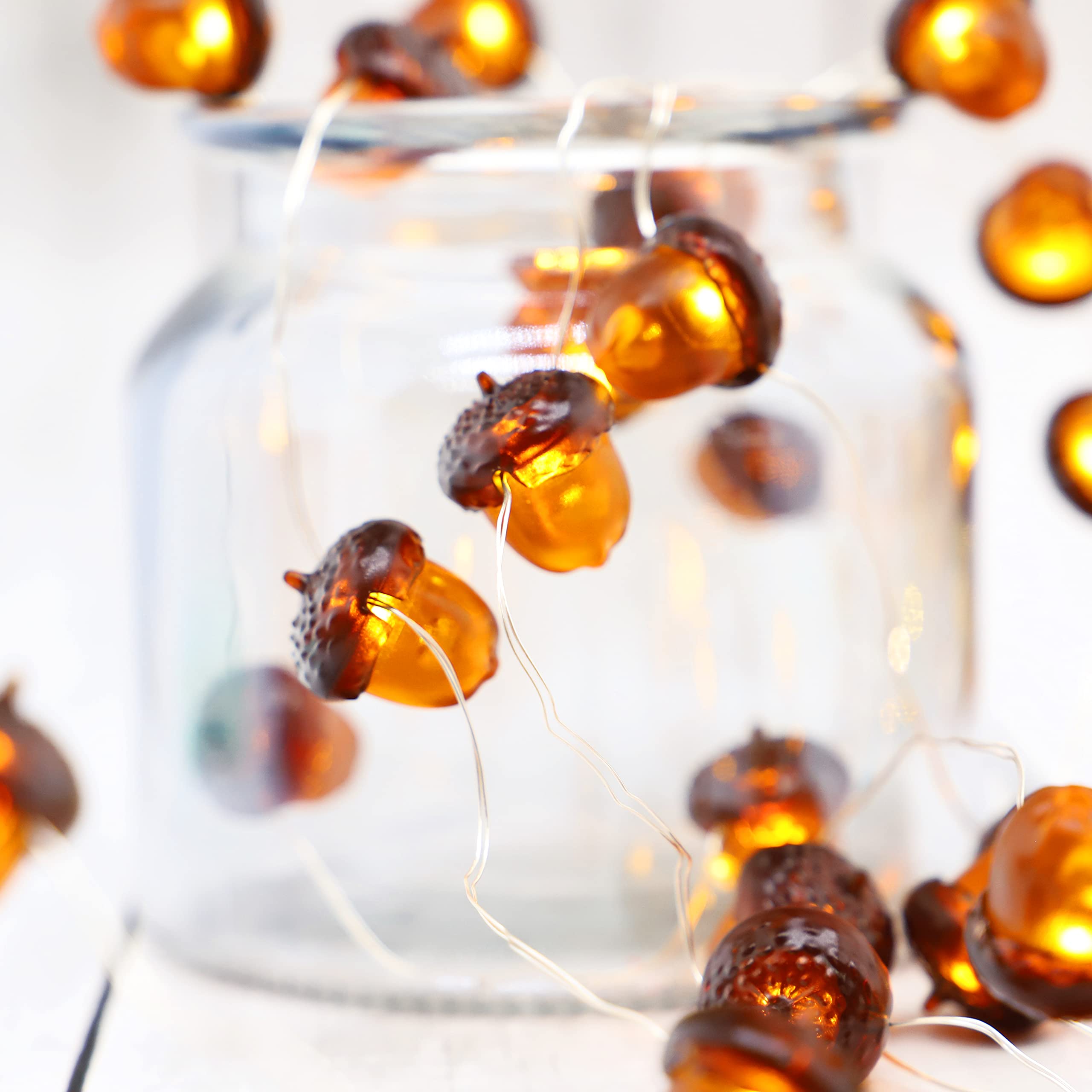 MIYA LIFE Fall Fairy Lights Cute String Lights with Thanksgiving Decor Fall Garland with Lights Battery Operated for Fall Lights Indoor Decoration (Acorn Fairy)