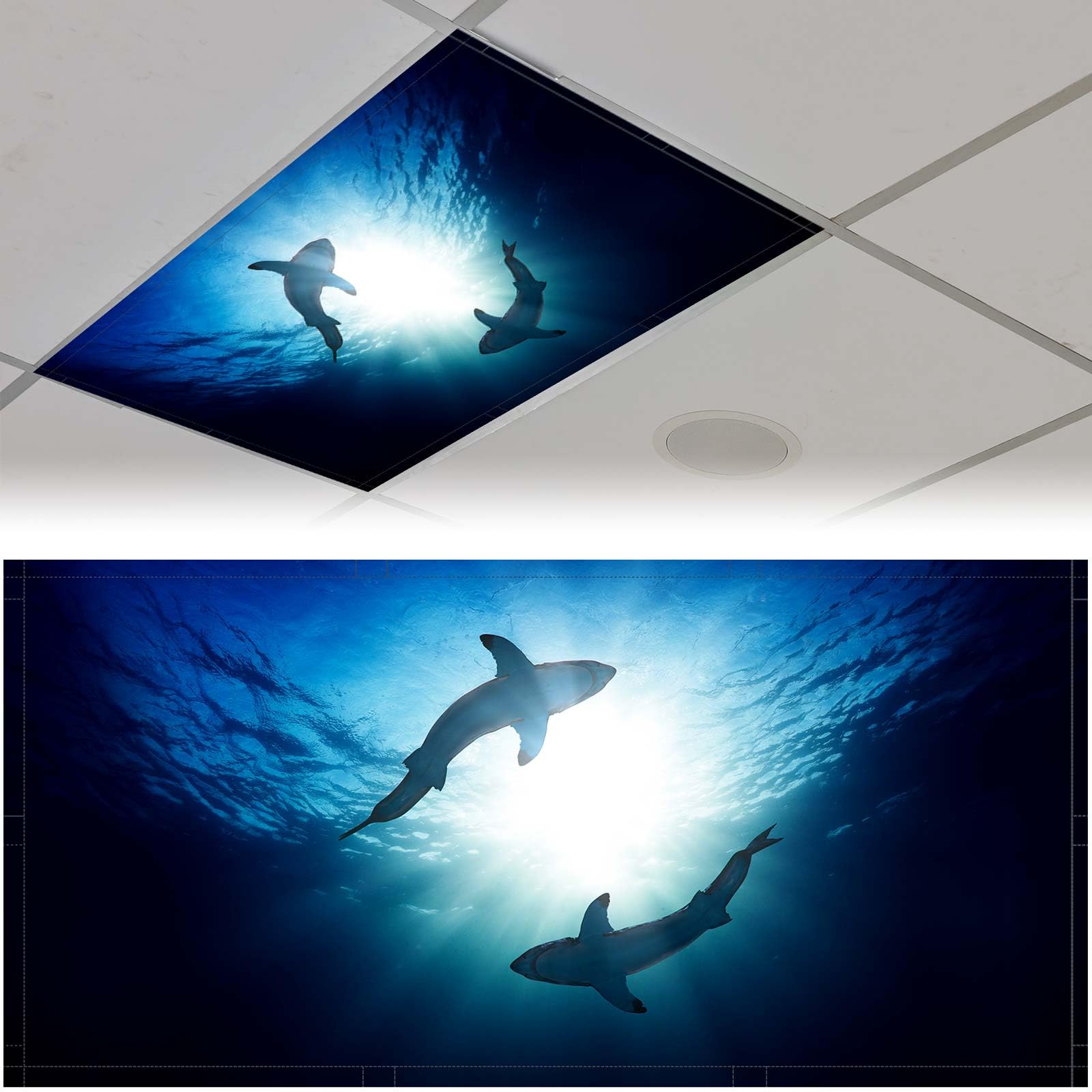 Patelai Fluorescent Light Cover, 4x2 Feet, Blue Fabric Shade with 10 Magnets, Model PT-Patelai-44508 for Classroom and Office