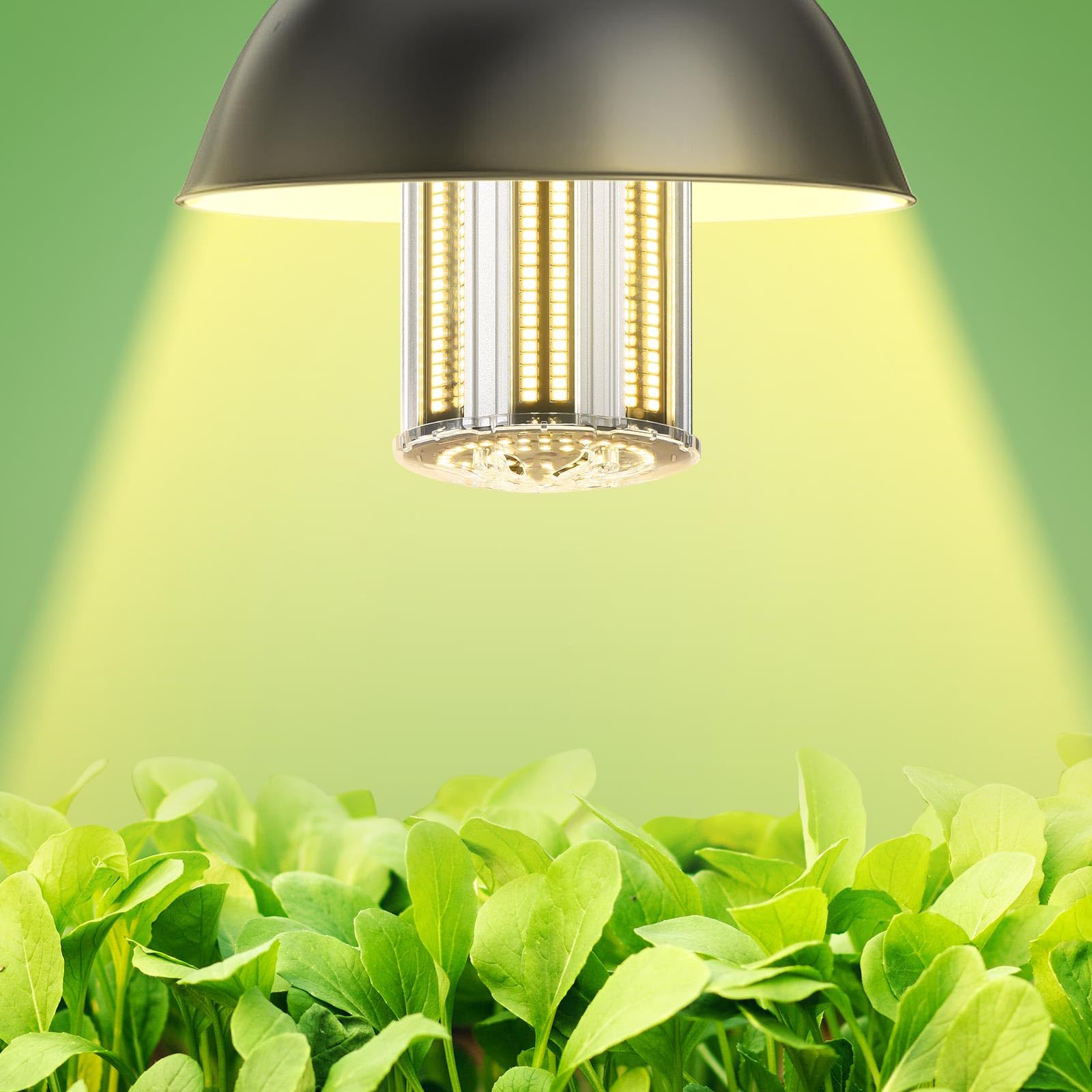 Dragonlight 120W Commercial Grade Corn Led Light Bulb(400 Watt Mh/Hps Replacement) - E26/E39 Large Mogul Base Led Lamp 4000K 14,
