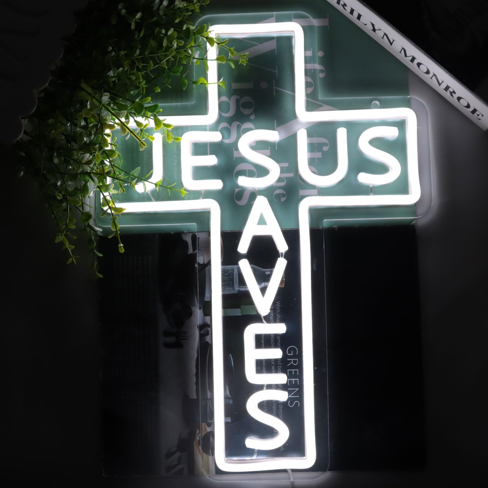 AHlove Neon Sign LED Light for Home Bar, 17x10 inches, Acrylic, USB Powered, Wall Decor