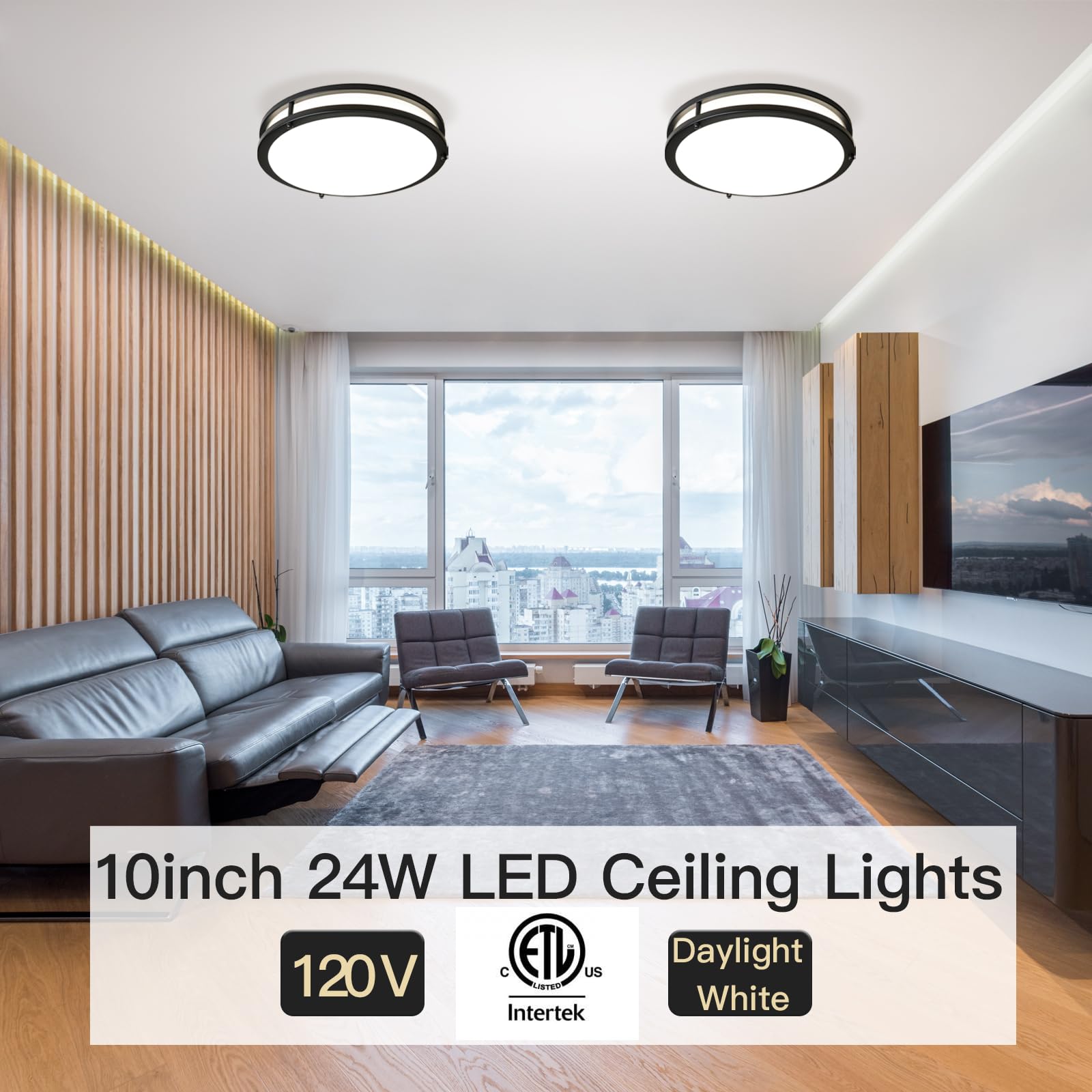 Elekeed 10Inch Ceiling Light Fixture 2 Pack Black, 24W Led Ceiling Light Fixture 2400Lm, Adjustable Brightness Flush Mount Ceili