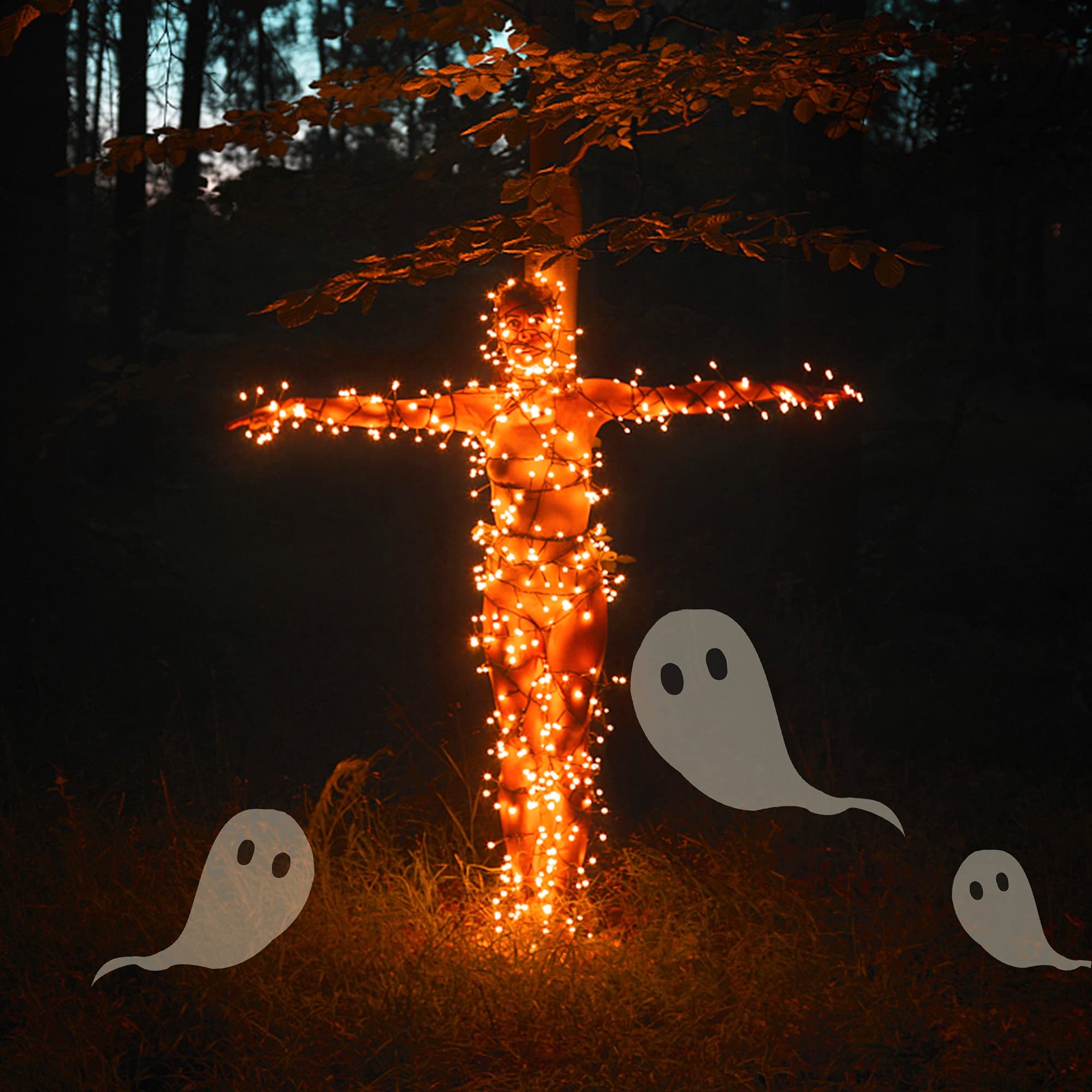 Twinkle Star, 200 Led Indoor Outdoor String Light 66 Ft For 8 Modes Waterproof For Indoor Outdoor Christmas Tree Wedding Party B