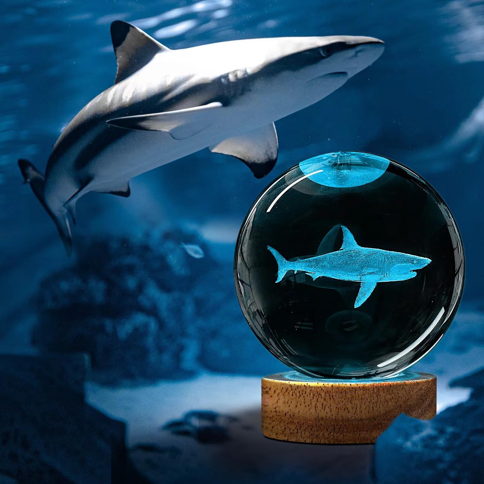 Huntalg 3D Shark Crystal Ball Night Light With Remote Upgraded 3.15 In Shark Glass Ball Table Lamps With 16 Color Led Wooden Bas