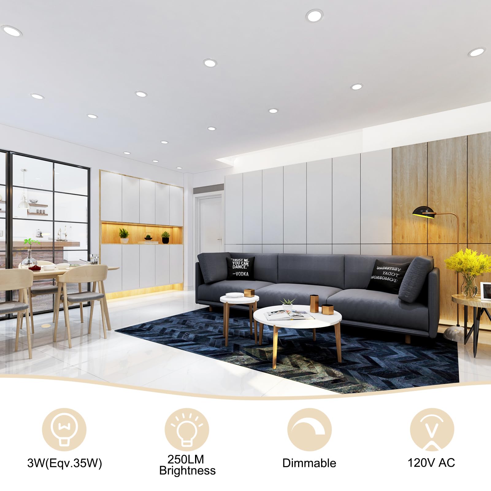 Ygs-Tech 2 Inch Led Recessed Lighting, Dimmable Downlight 3W(35W Halogen Equivalent), Cri80, 5000K Daylight White Ceiling Light