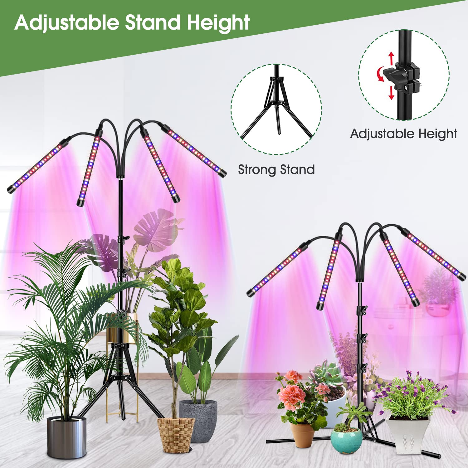 Wolezek 4-Head Full Spectrum Plant Light, Adjustable Tripod Stand, Aluminum, Black, Model BL-C80D