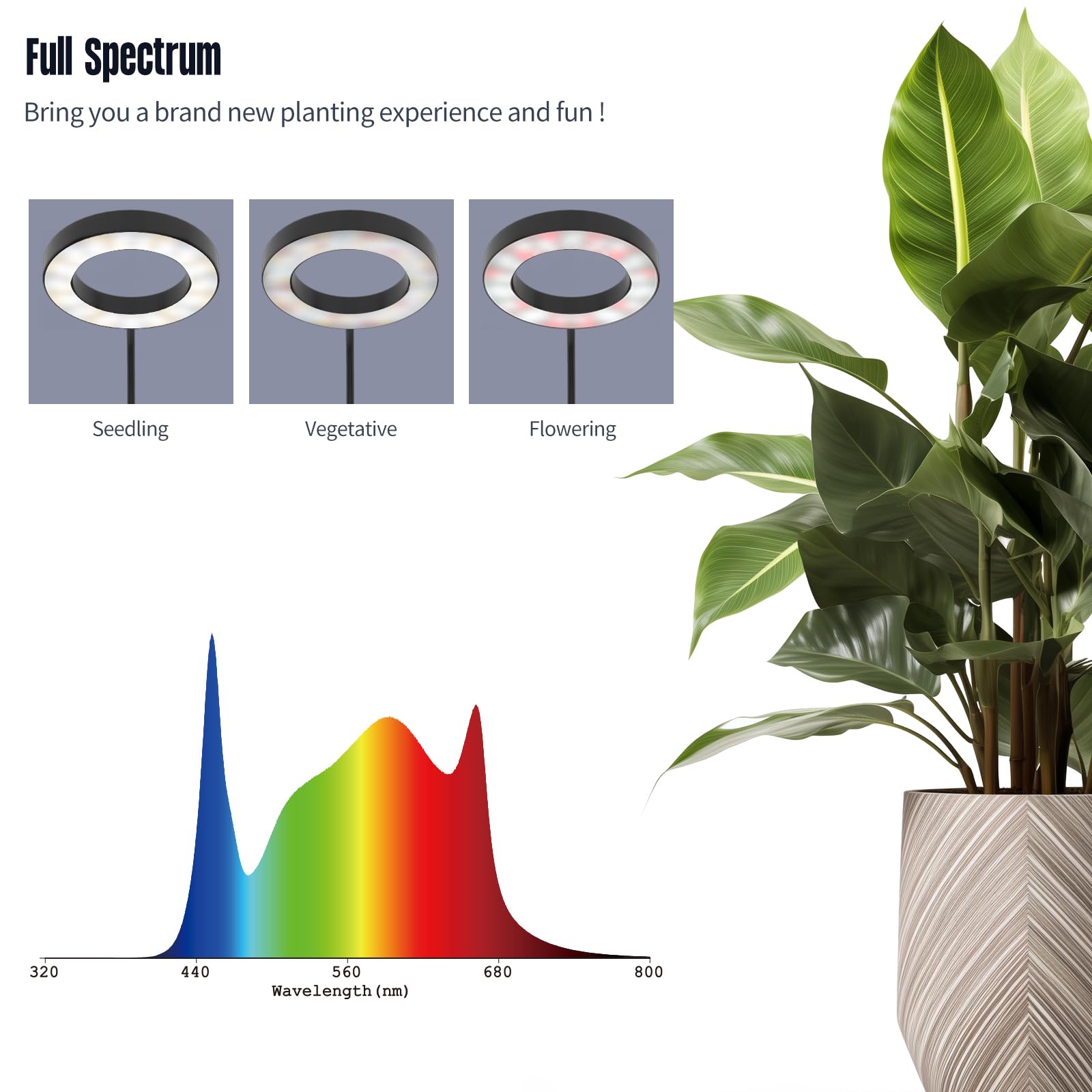 Glowrium Grow Lights For Indoor Plants, 40W Led 2-Head Plant Grow Lights With Auto-Timer, Full Spectrum Adjustable Height Standi