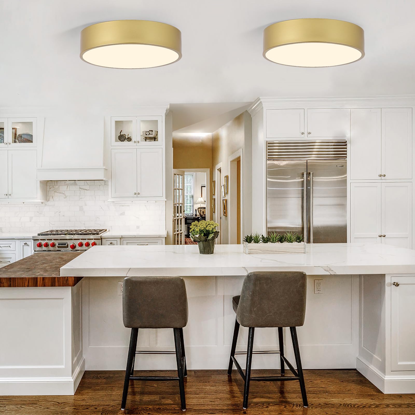 POLITAMP Modern Gold Flush Mount Ceiling Light, 2-Light Acrylic Shade, 11.8", Contemporary Design for Hallway, Foyer, Kitchen
