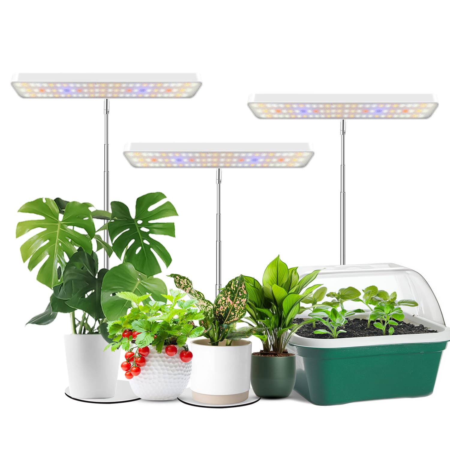 Wiaxulay Grow Lights for Indoor Plants, 78 LEDs Full Spectrum Plant Grow Light, Desk Grow Light with Auto Timer 6/12/16 Hrs, 3 L