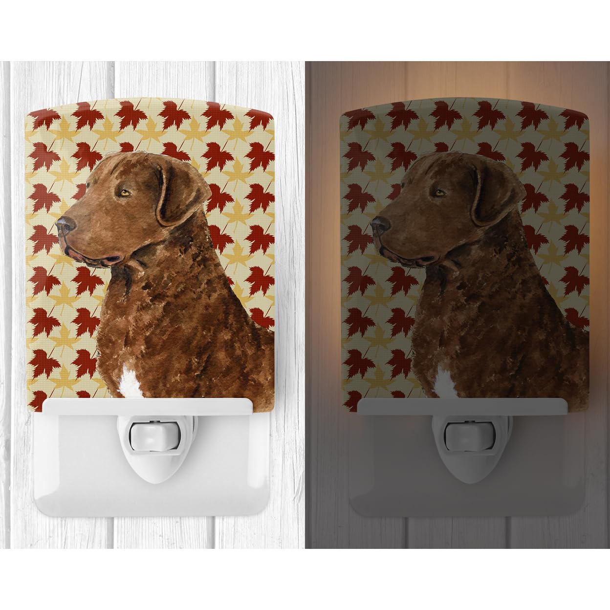 Carolines Treasures Night Light, Chesapeake Bay Retriever, Ceramic, 6x4x3in, Multicolor, Model SS4325CNL