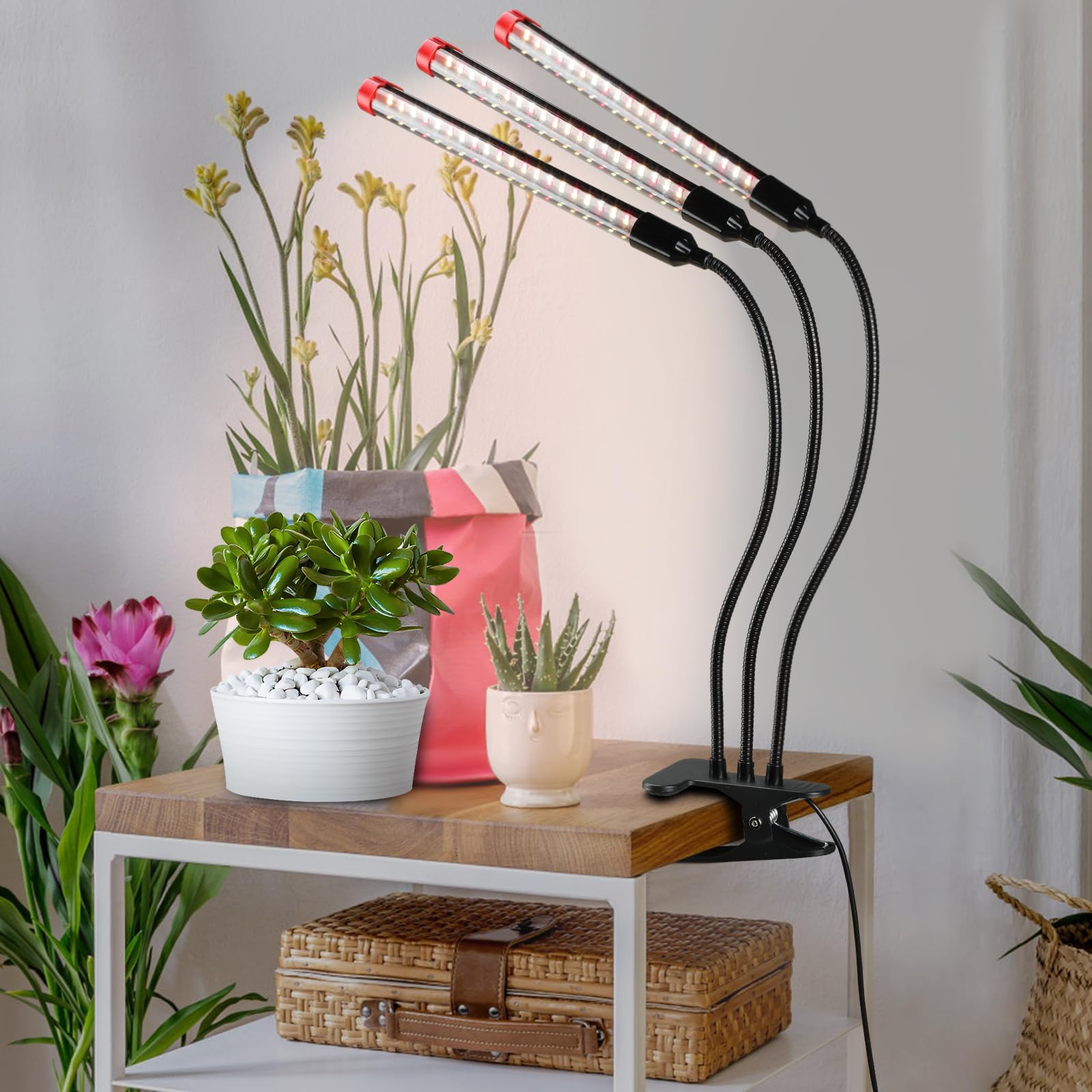 Game Changer! 27W Power Home Plug, Not 10W Adapter, Fecida Clip Grow Lights For Seed Starting With Timer, Enough Bright Like Sun Full Spectrum Grow Lights For Indoor Plants, Bonsai, Seedlings