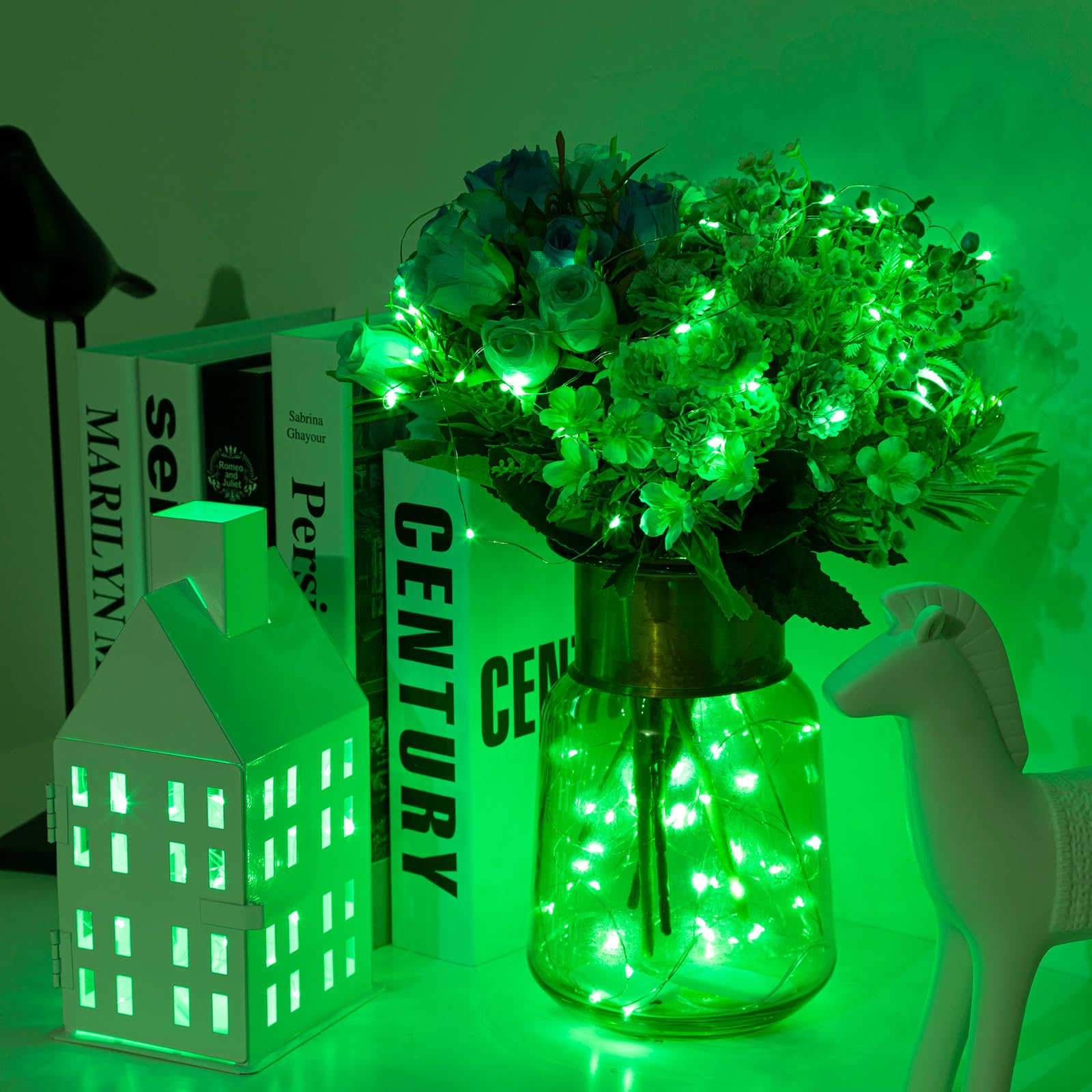Siuholi Fairy Lights String Lights 16FT 50 LED Battery Operated Waterproof Green 1 Pack Model Siuholi-1