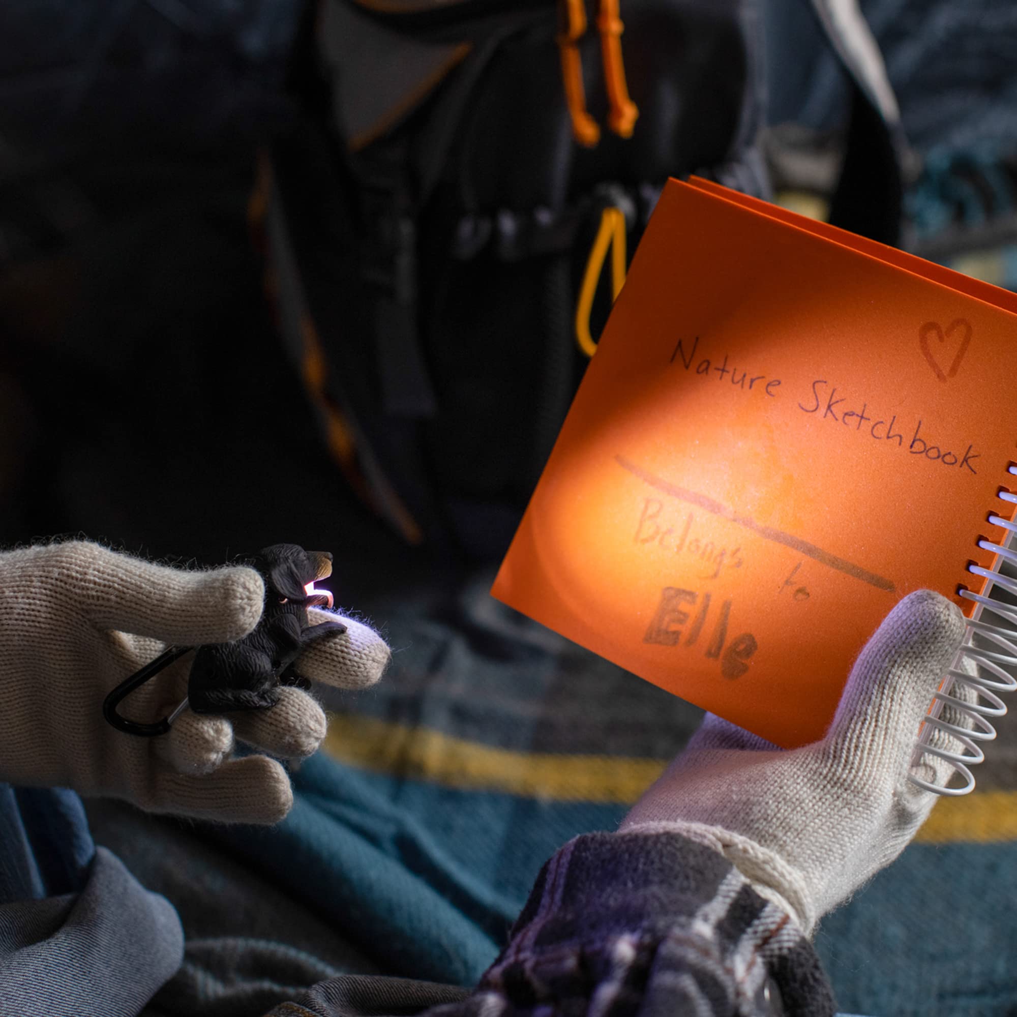 Big Discoveries WildLight Animal Carabiner Flashlight - Fun Mini Keychain Flash Lights for Kids, Nurses, Camping (Black Lab)