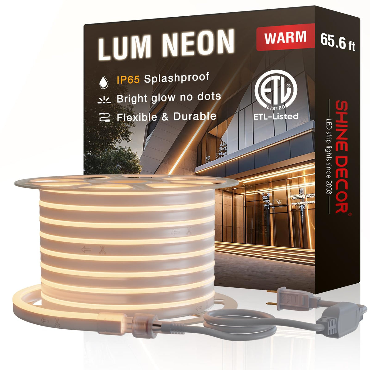 Lum Rope Shine Decor Led Neon Rope Lights 120Vac 120Leds/M Lum Strip Lighting E ...