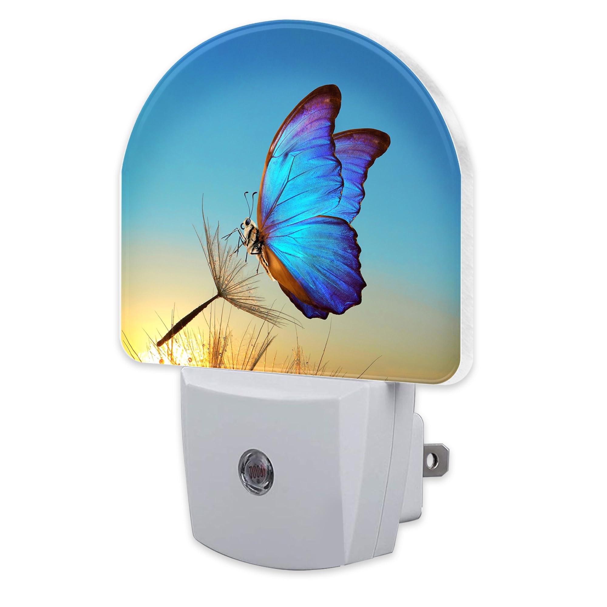 sndheke Blue Butterfly and Dandelion Night Light Plug into Wall, Butterfly in The Sunset Dusk to Dawn Night Light,0.5w Energy Sa