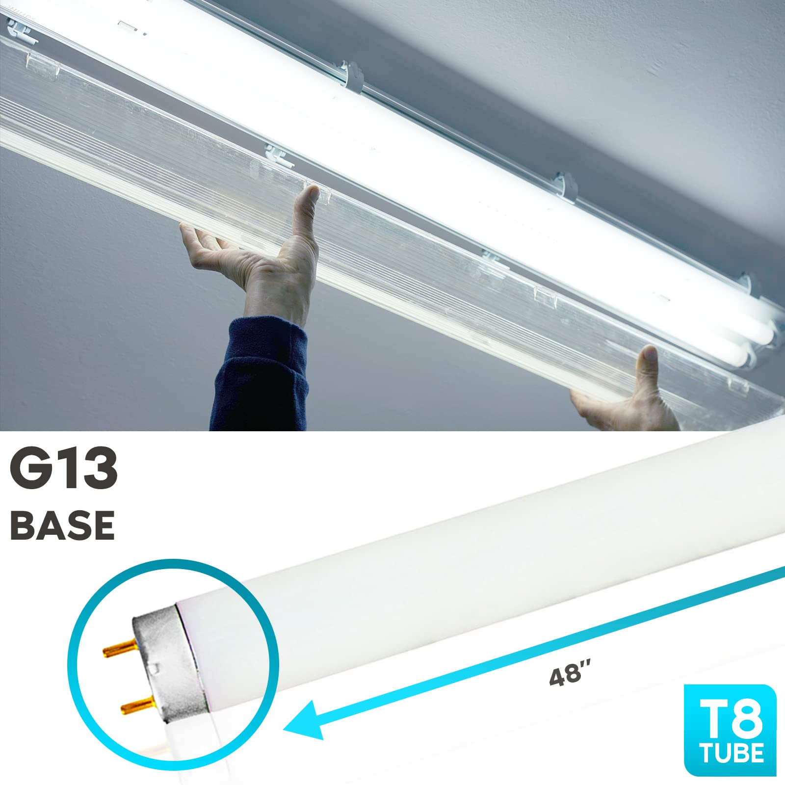 LUXRITE T8 Fluorescent Tube Light Bulb 32W 6500K Daylight 2800 Lumens G13 Base Model LR20735 12-Pack