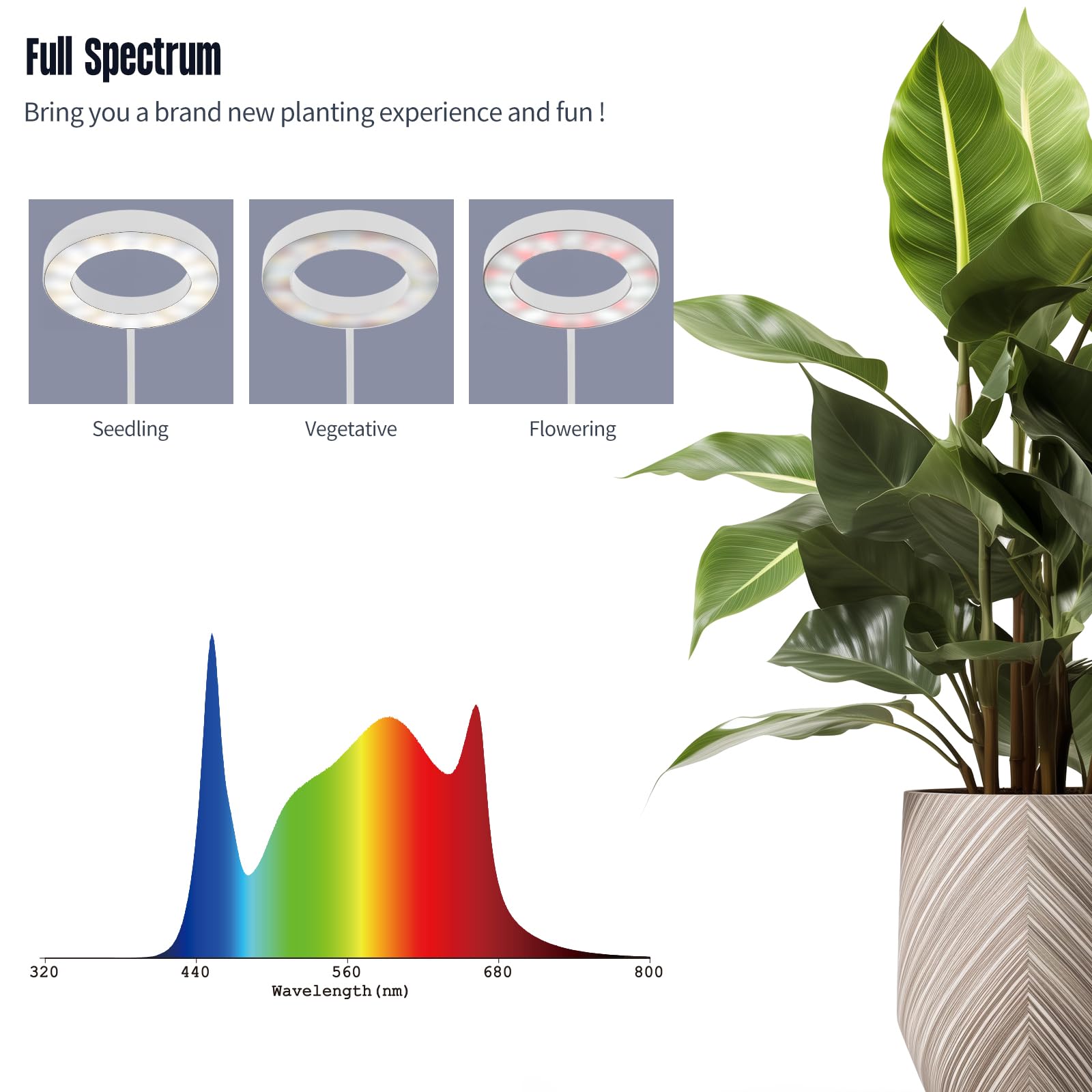 Glowrium Indoor Grow Light, 20 Watt Full Spectrum Led Plant Growth Light With Stand, Adjustable Height With Timer 3/9/12 Hrs, White Led Plant Lamp