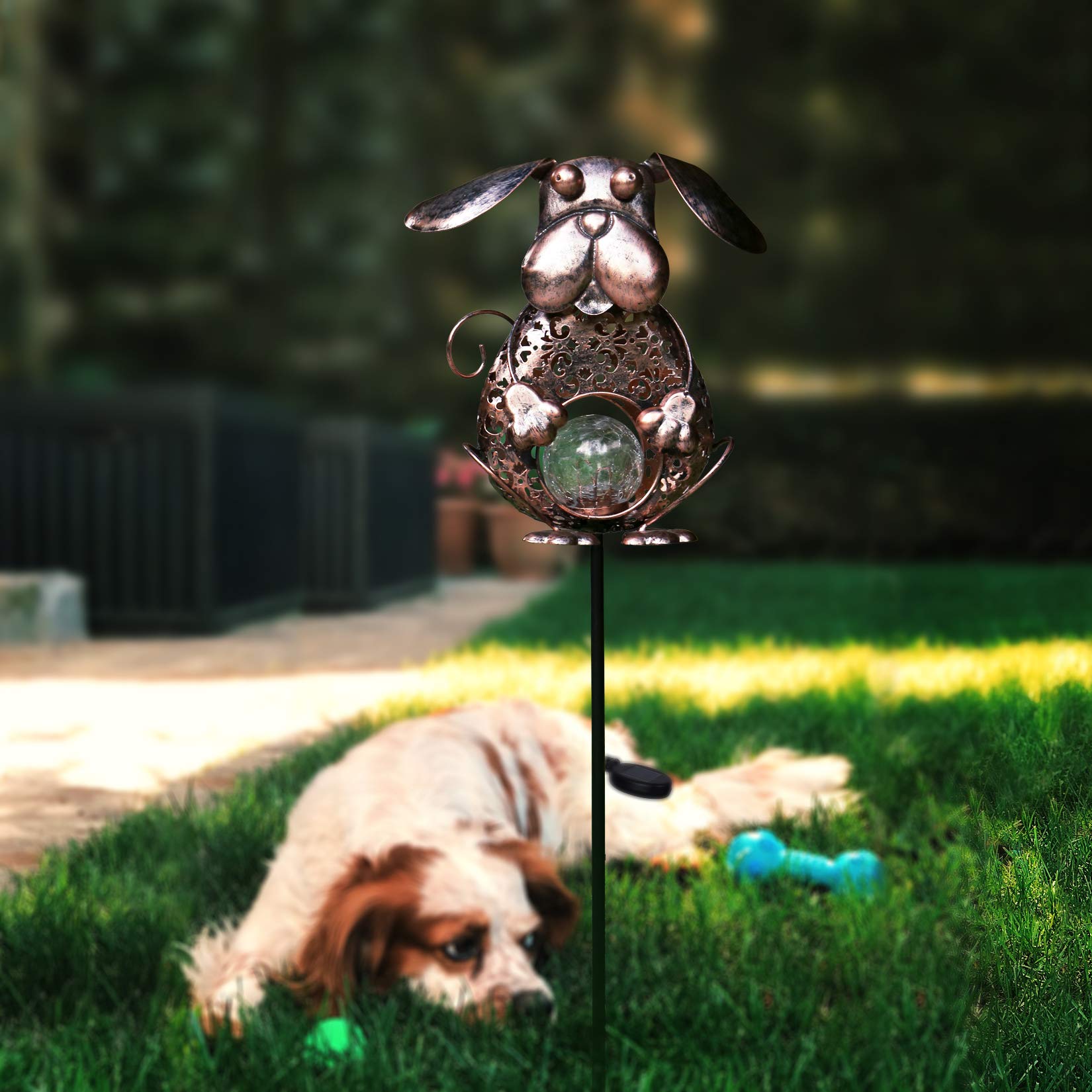 KAIXOXIN Solar Garden Lights, Metal Dog Stake with  le Glass Globe, Waterproof, Warm White LED, Dog-Bronze Color