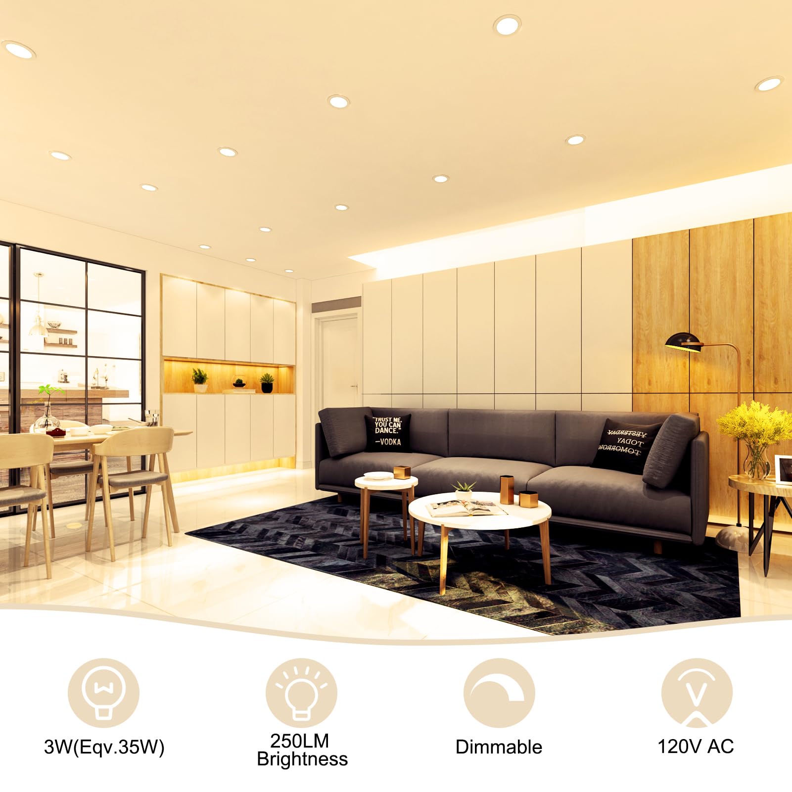 YGS-Tech 2 Inch LED Recessed Lighting, Dimmable, 3W (35W Halogen Equivalent), 2700K Ultra Warm White, 16 Pack, Plastic